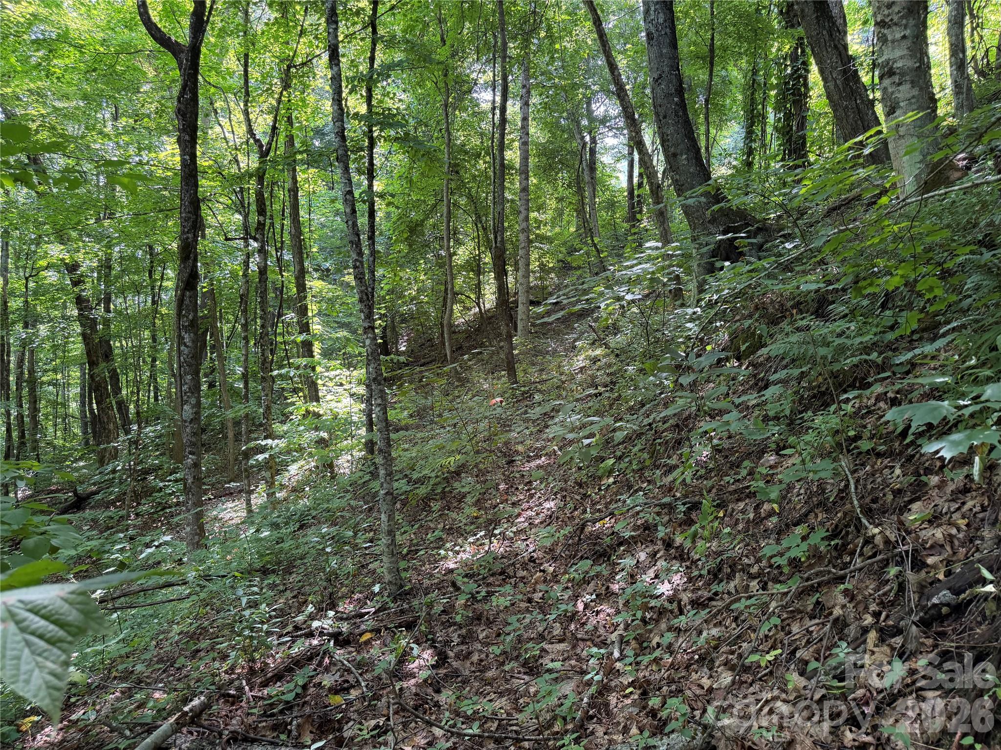 0000 Chimney Ridge Trail Property Photo 4