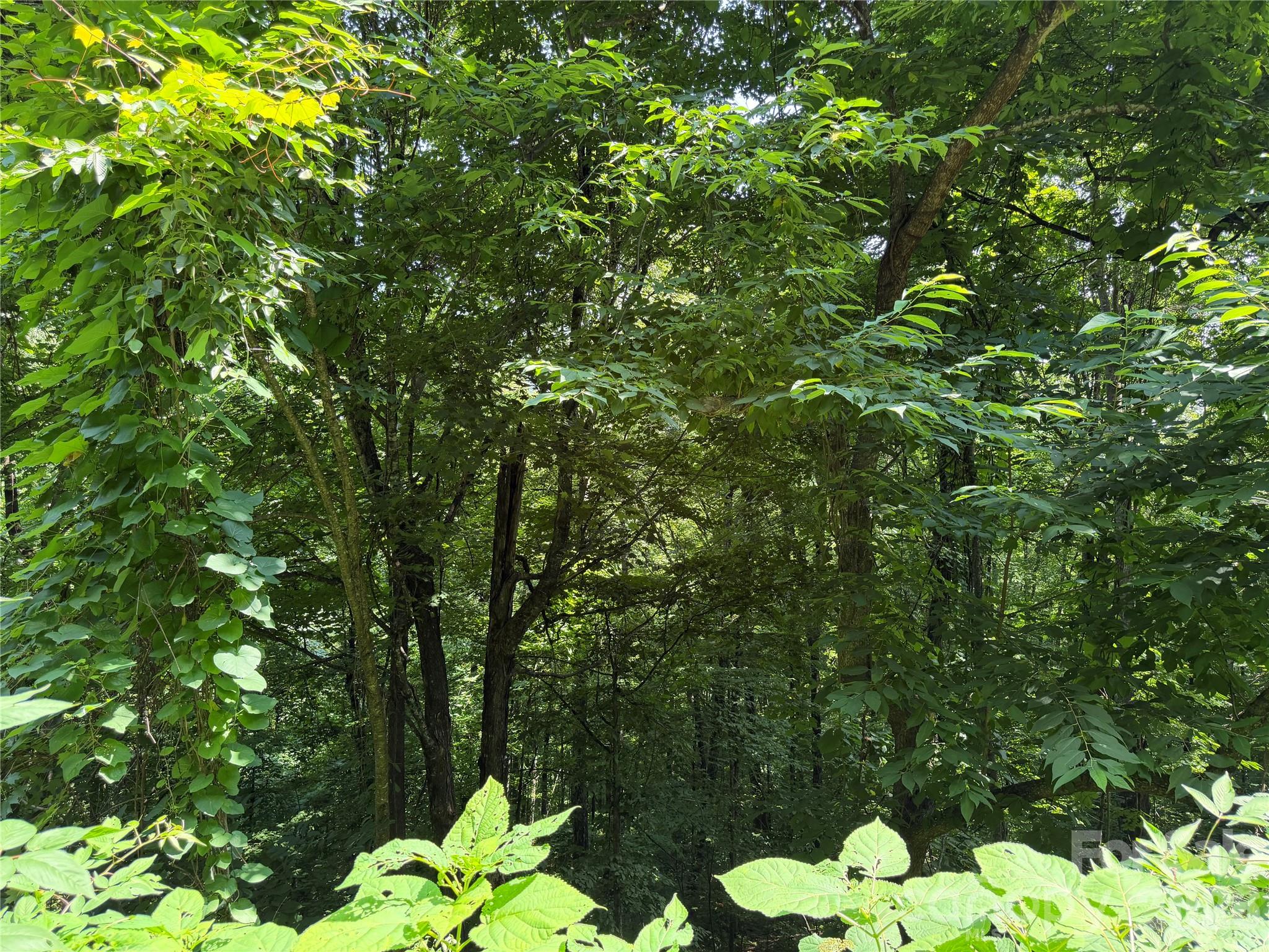 0000 Chimney Ridge Trail Property Photo 6
