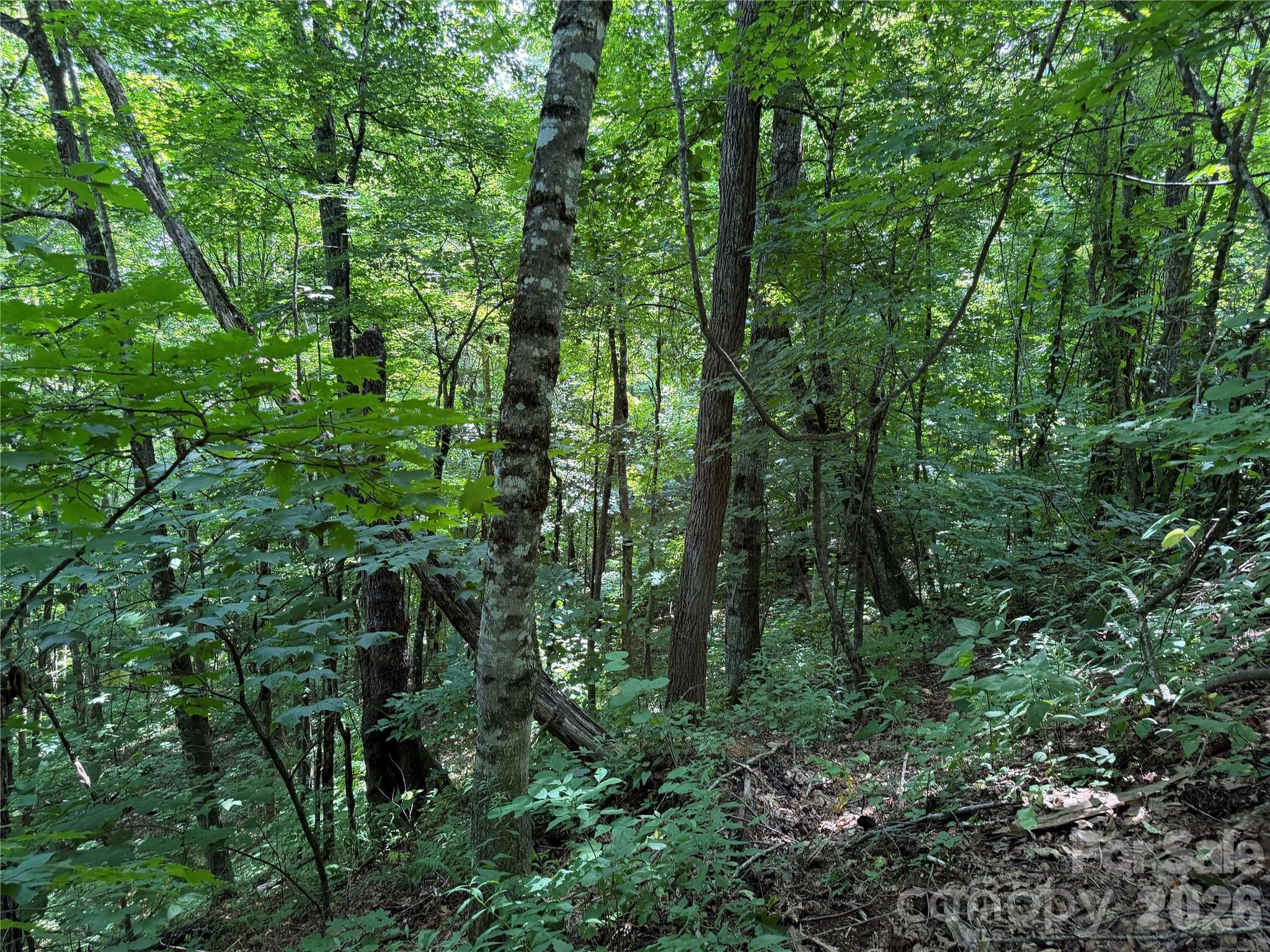 0000 Chimney Ridge Trail Property Photo 8