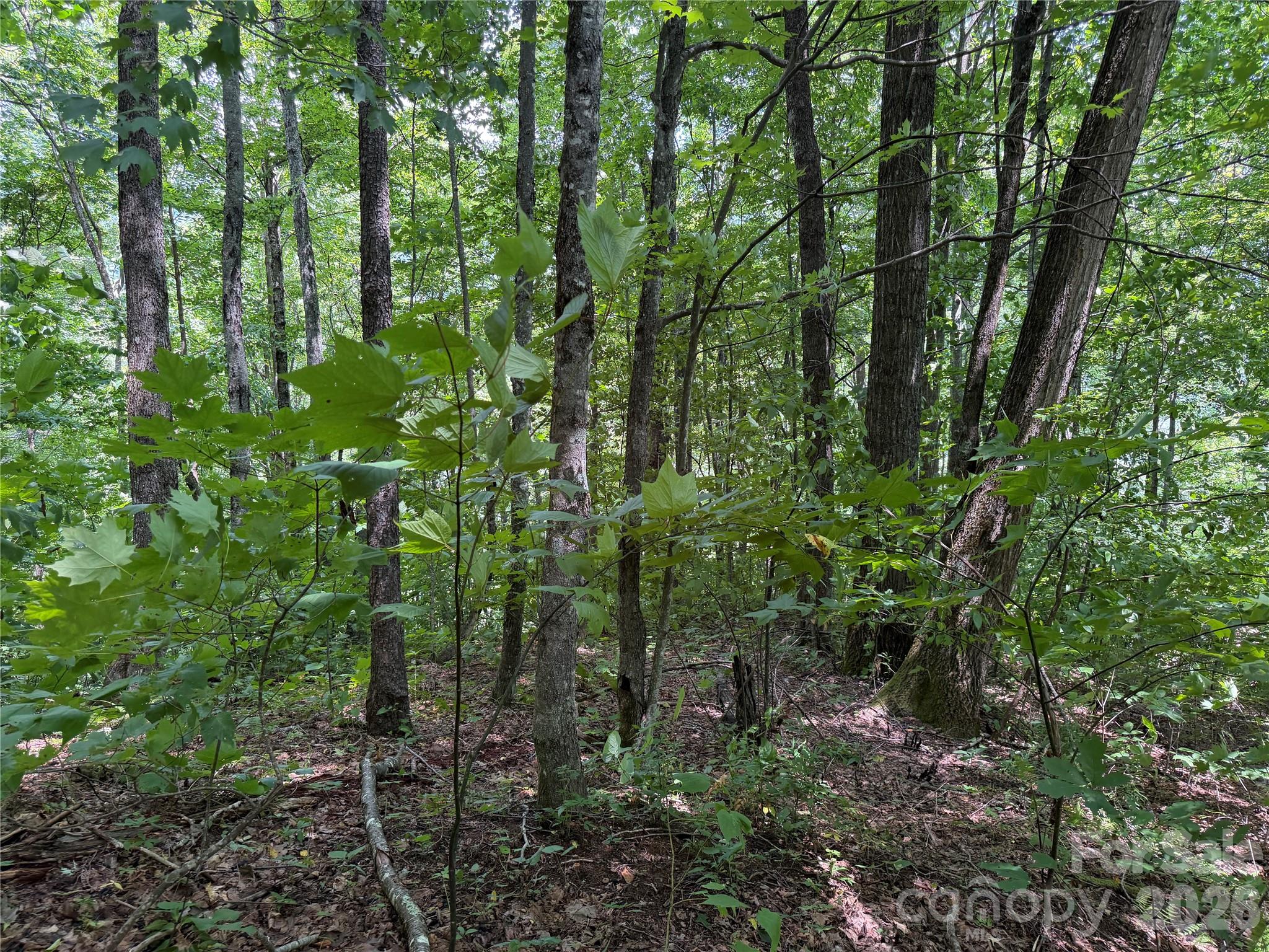 0000 Chimney Ridge Trail Property Photo 9