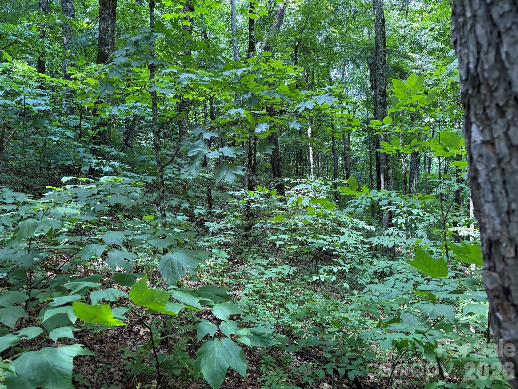 0000 Chimney Ridge Trail Property Photo 10