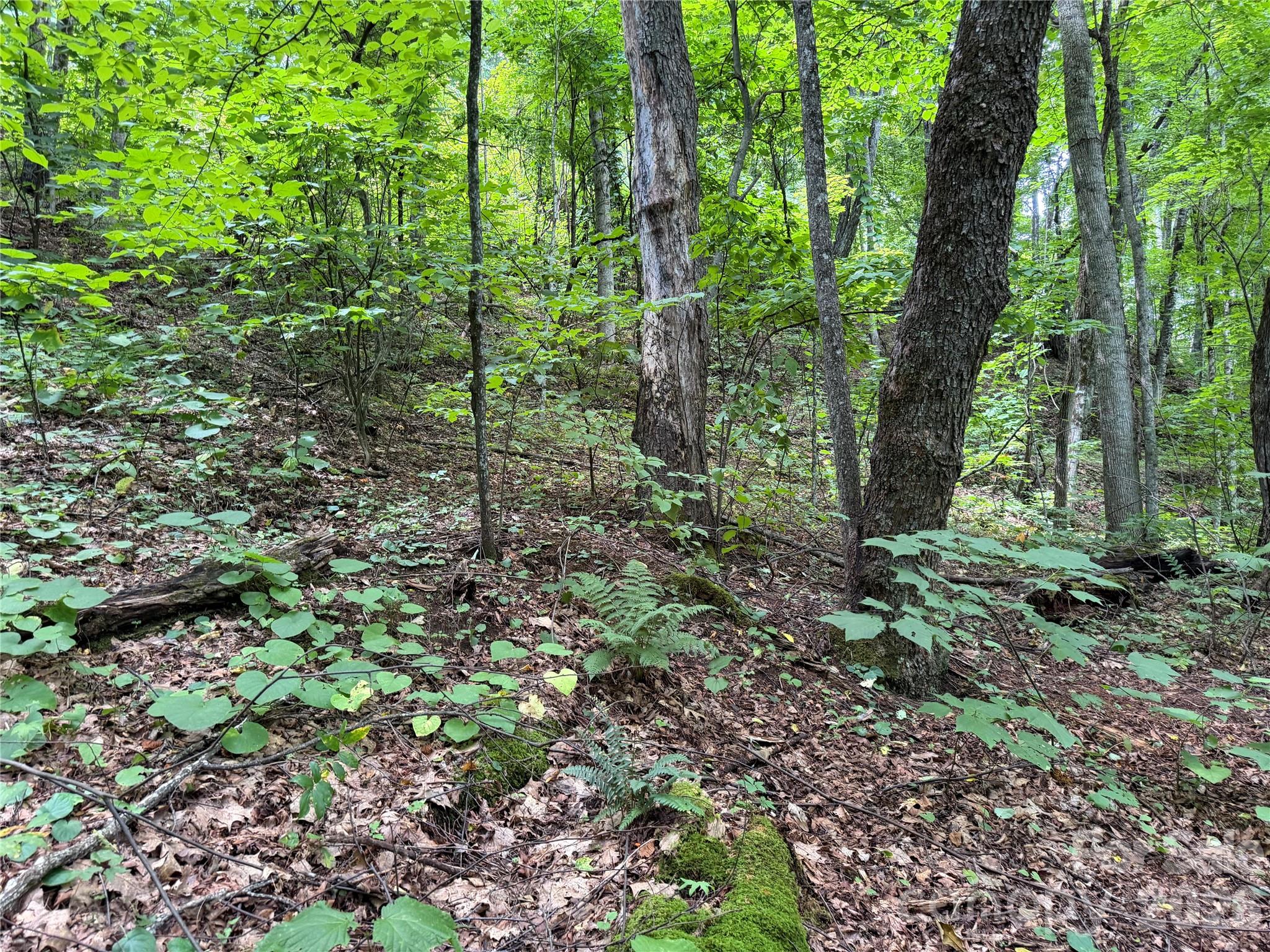 0000 Chimney Ridge Trail Property Photo 11