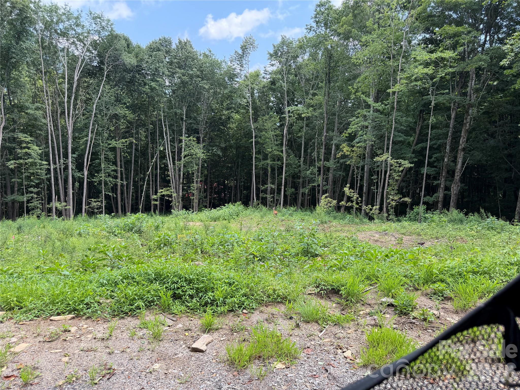 0000 Chimney Ridge Trail Property Photo 12