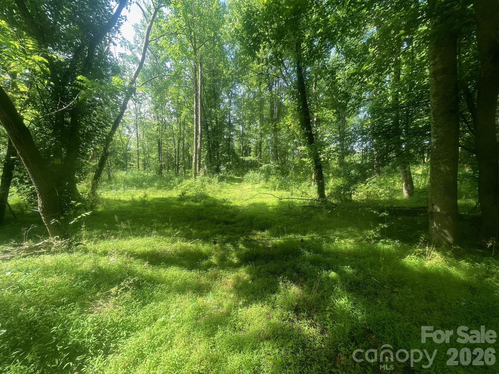 575 Lookout Dam Road 149 Property Photo 2