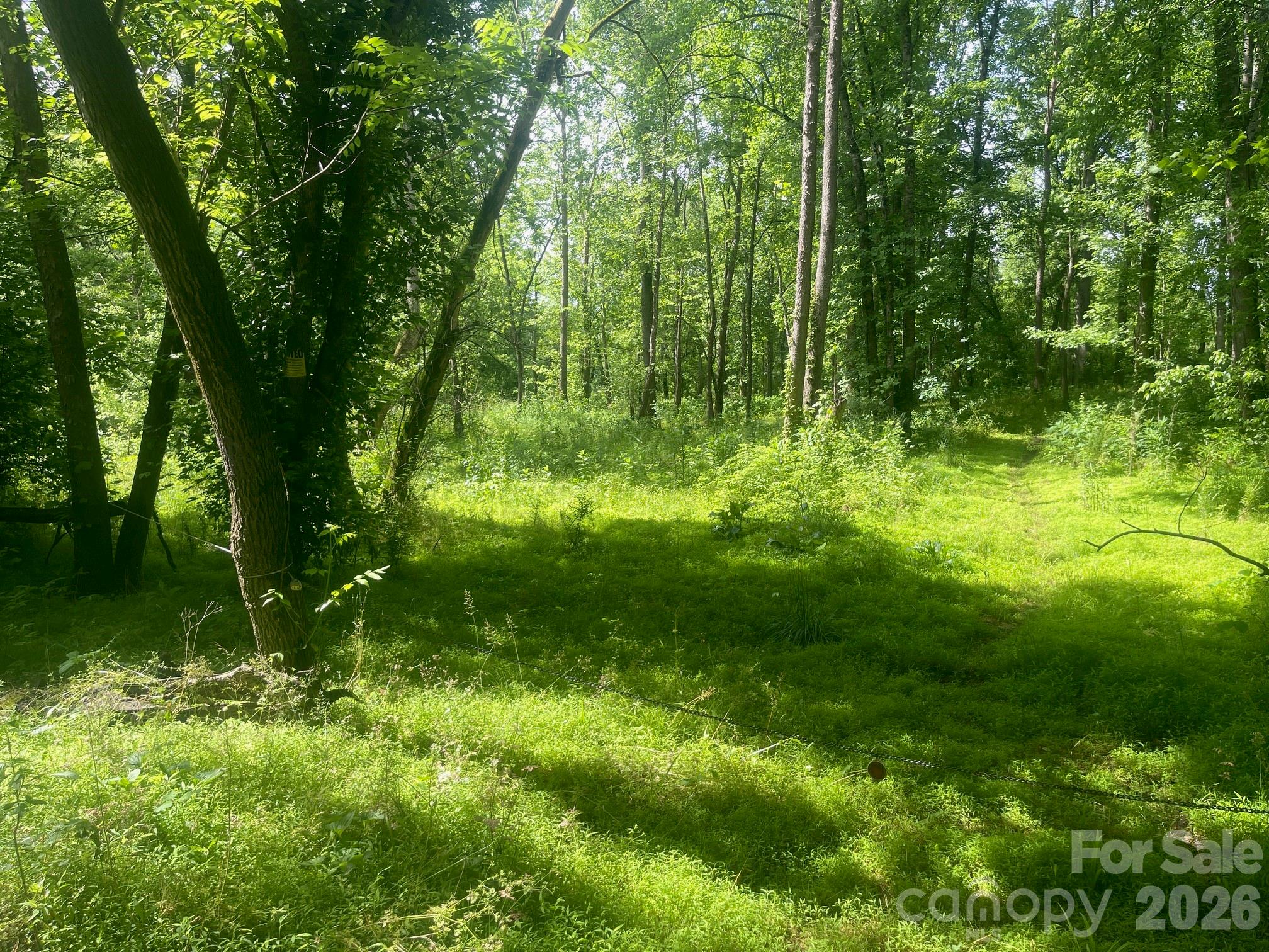 575 Lookout Dam Road 149 Property Photo 3