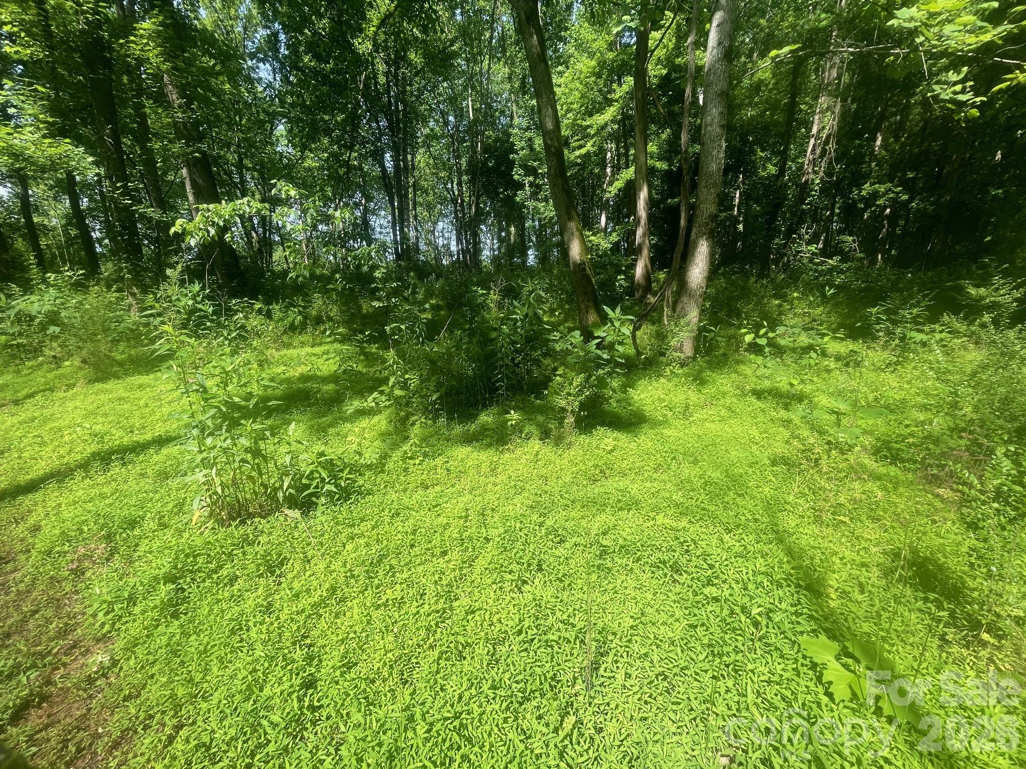 575 Lookout Dam Road 149 Property Photo 5