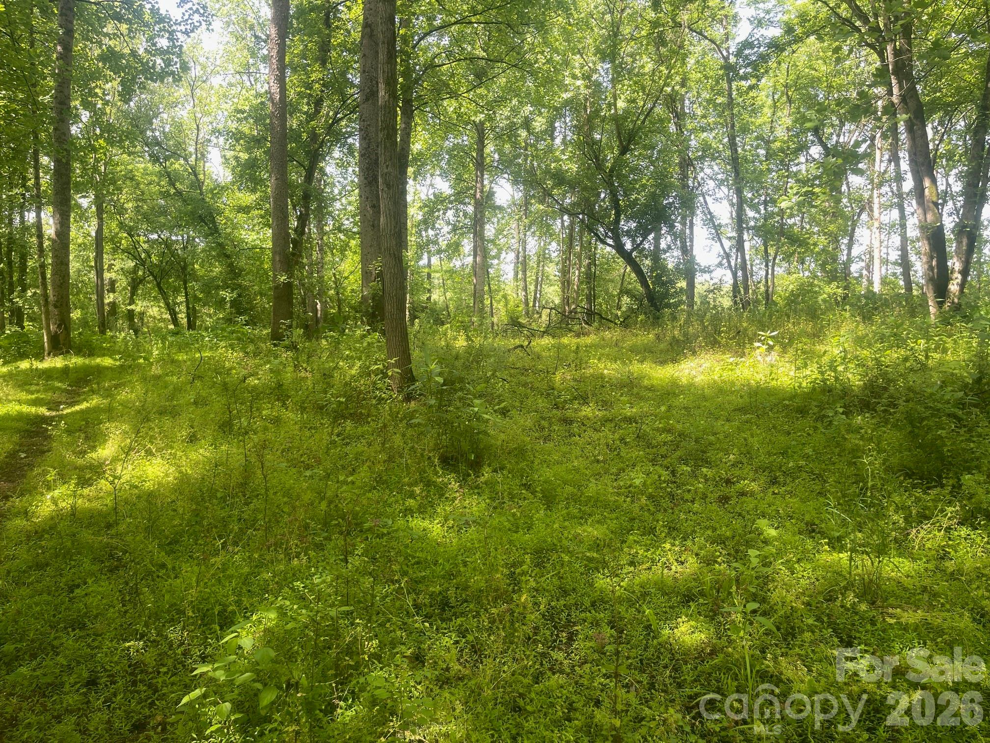 575 Lookout Dam Road 149 Property Photo 6