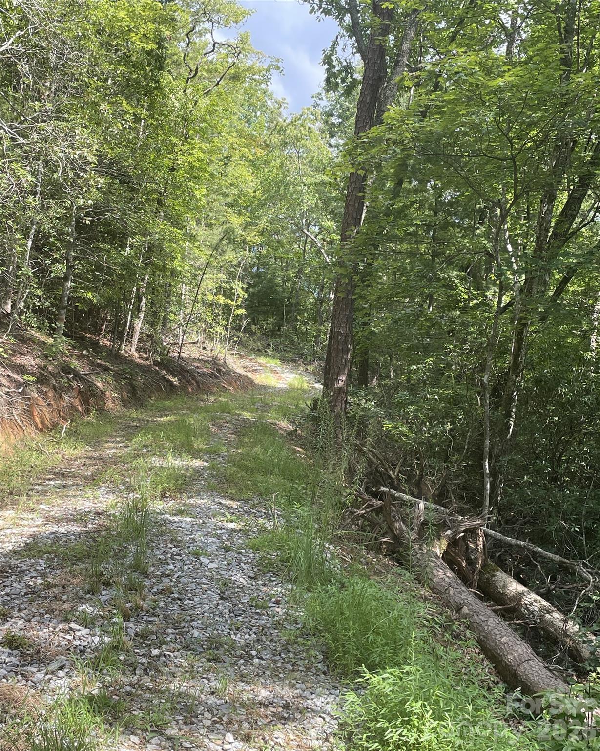 2060 Us 19 Highway Property Photo 2