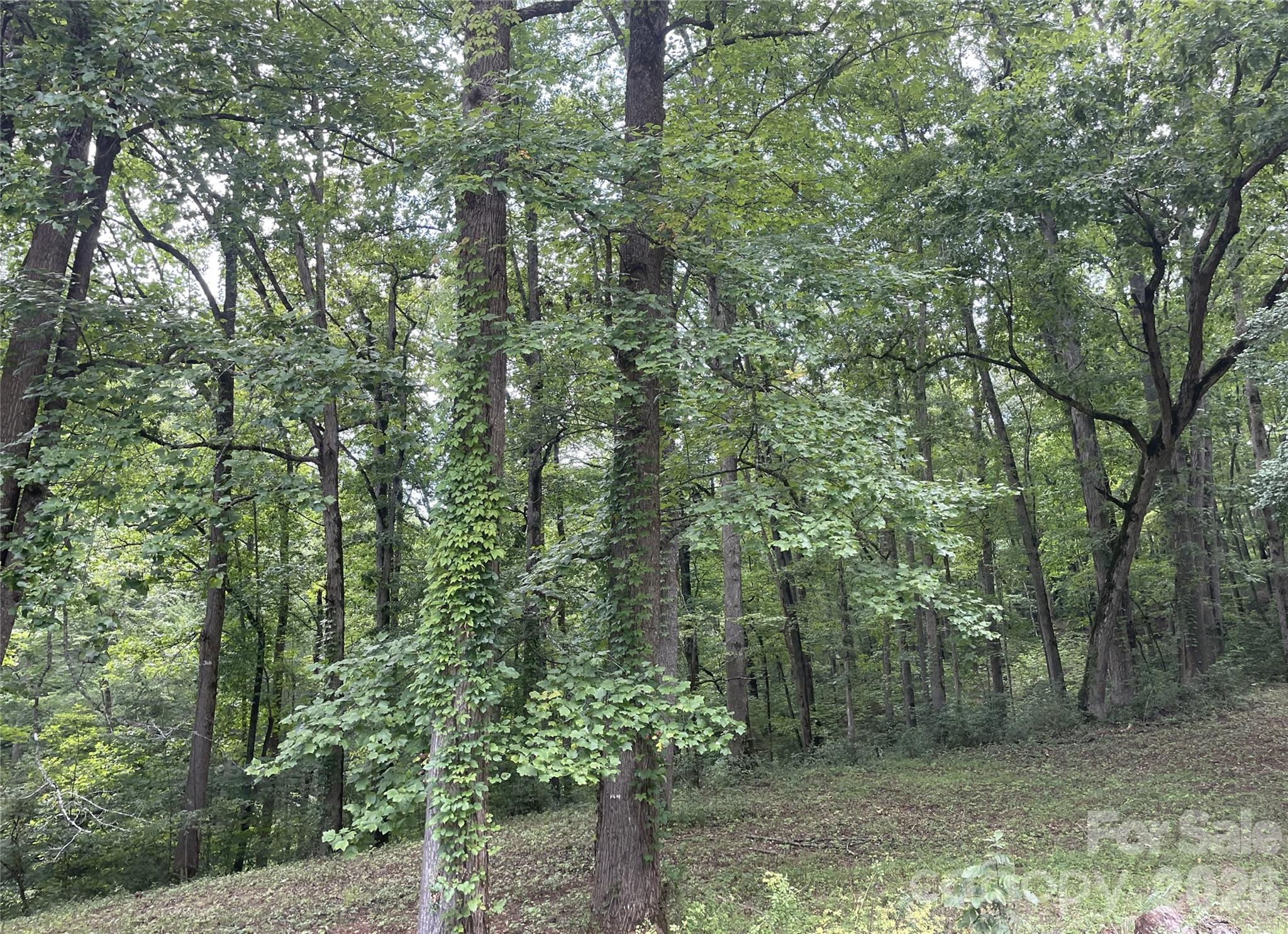 2060 Us 19 Highway Property Photo 3