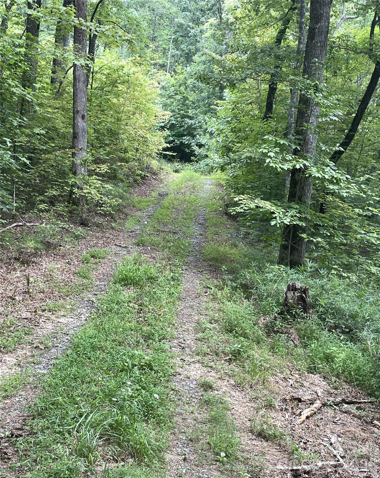 2060 Us 19 Highway Property Photo 5