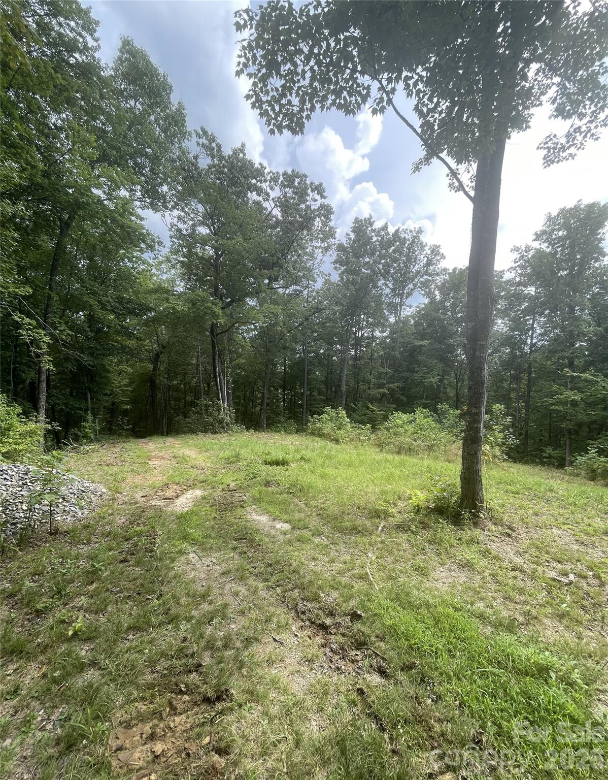 2060 Us 19 Highway Property Photo 6