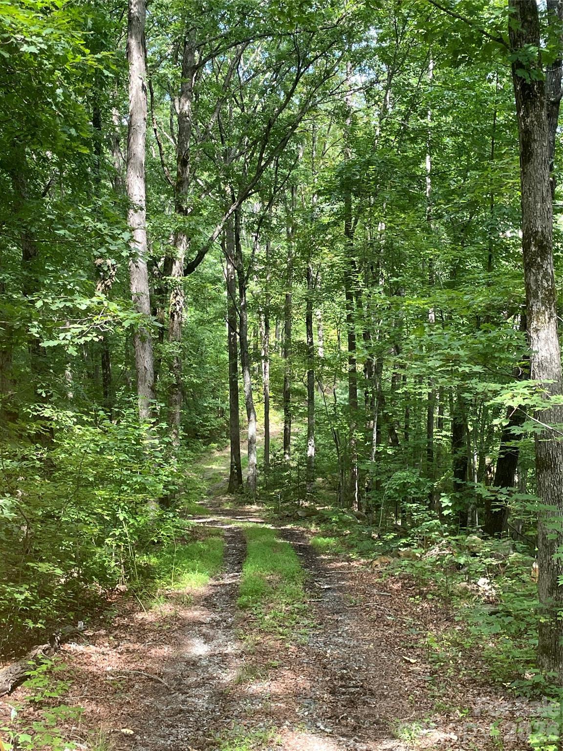 2060 Us 19 Highway Property Photo 9