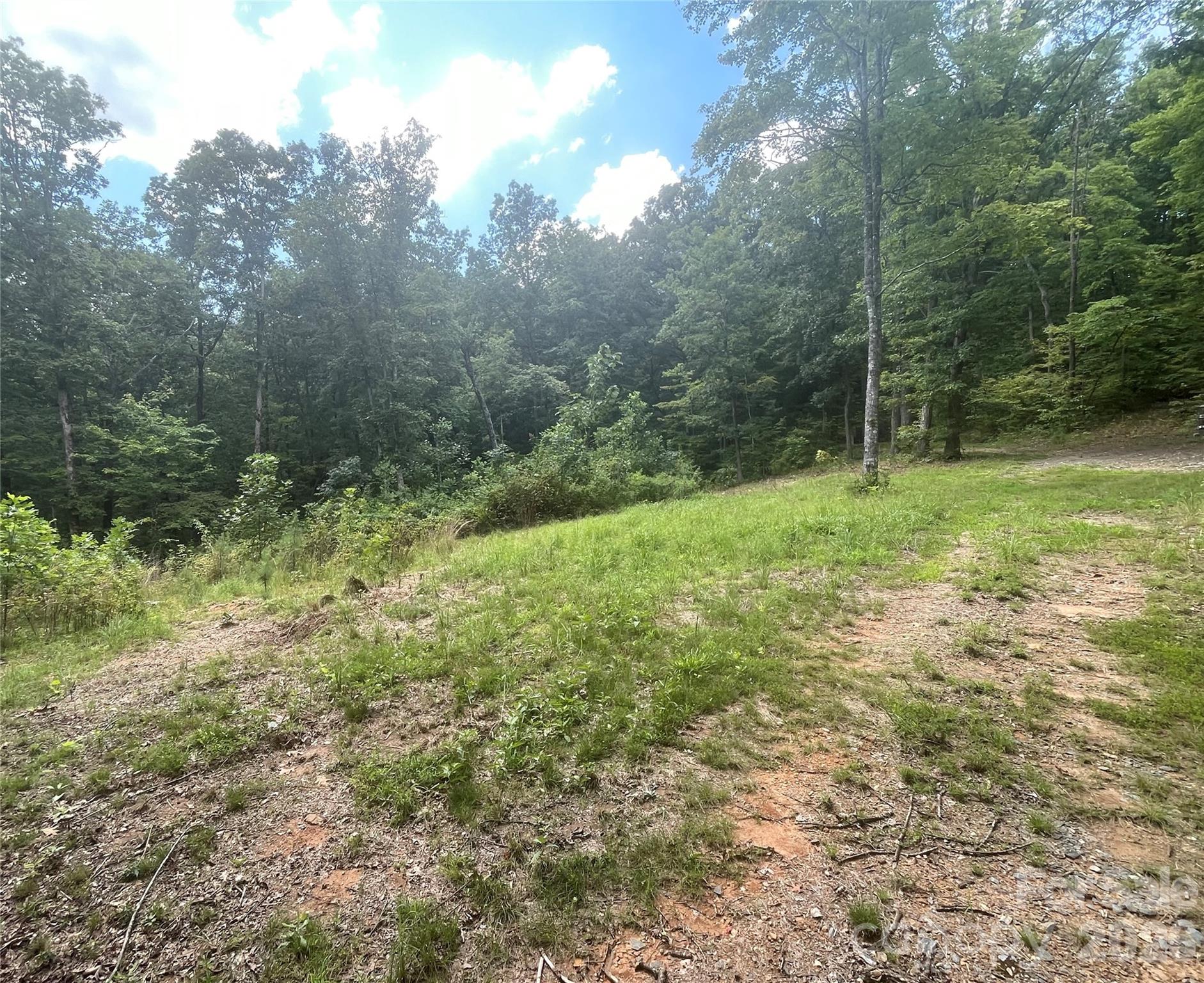 2060 Us 19 Highway Property Photo 10
