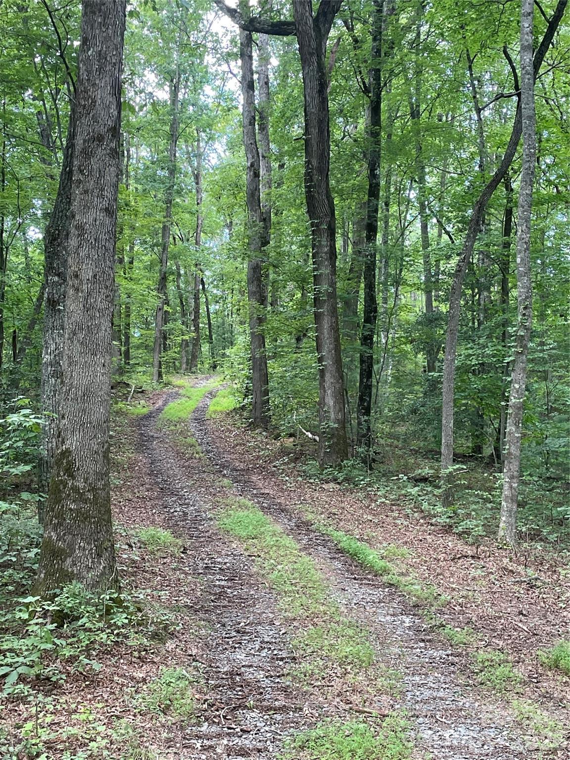 2060 Us 19 Highway Property Photo 11
