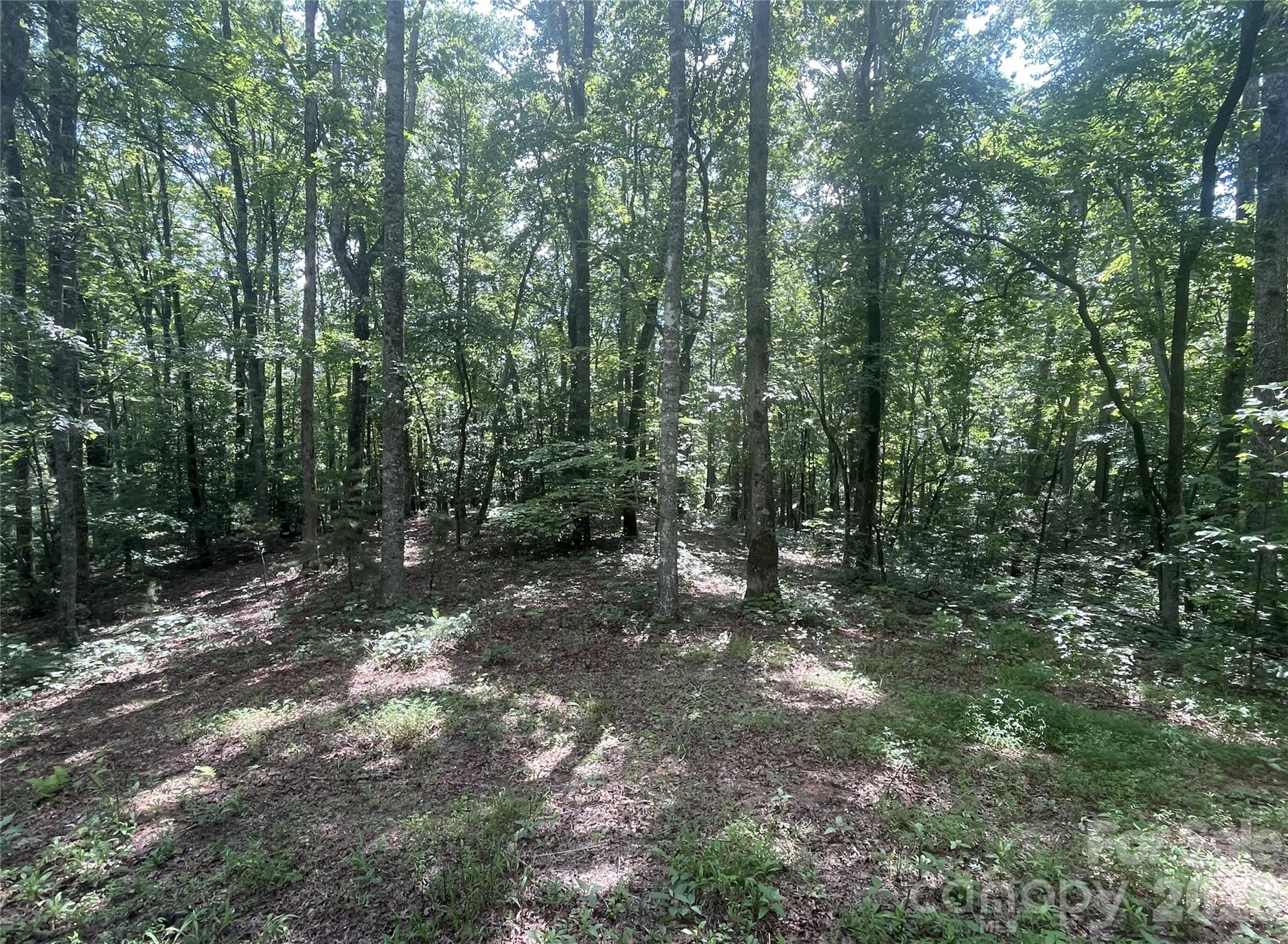 2060 Us 19 Highway Property Photo 1