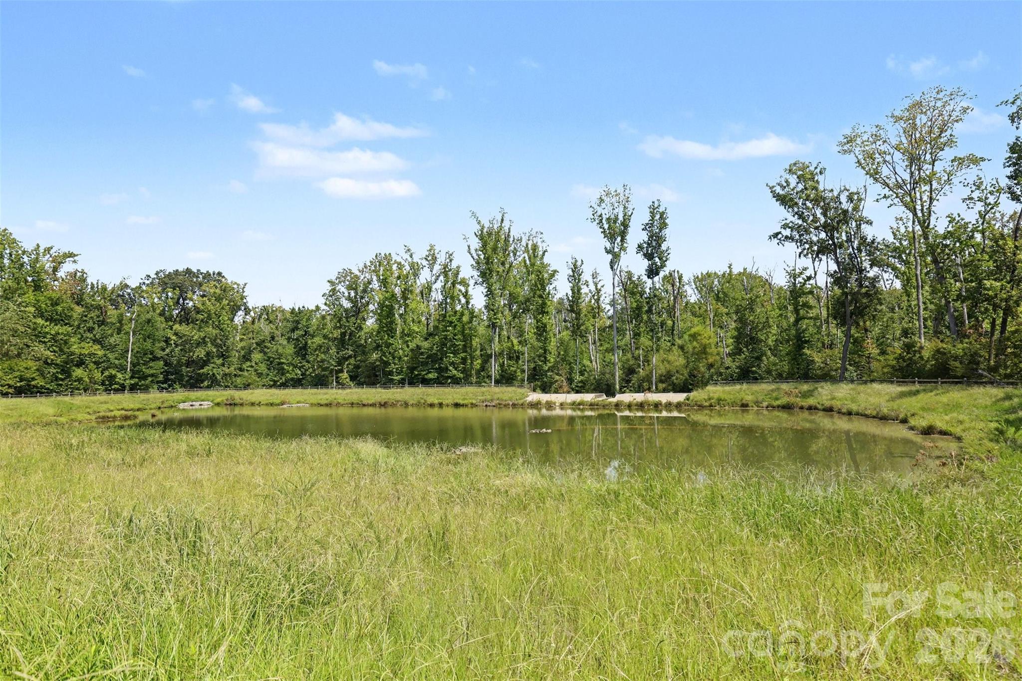 10704 Sky Chase Avenue Property Photo 46