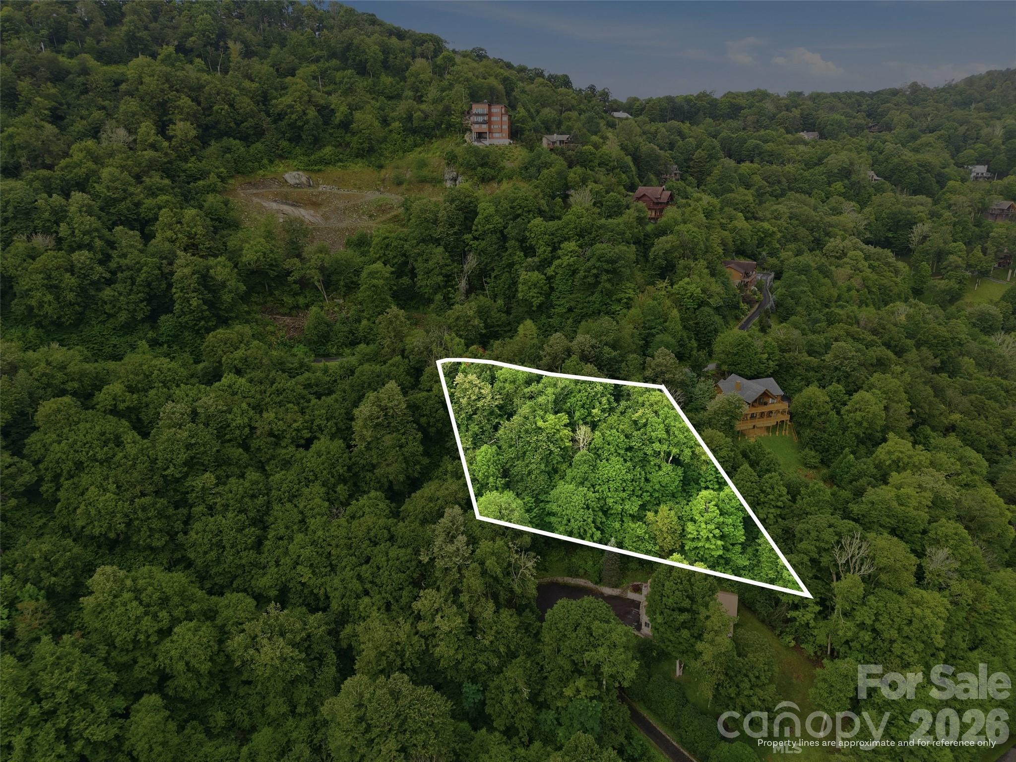 Lot 50 Running Cedar Drive Property Photo 5