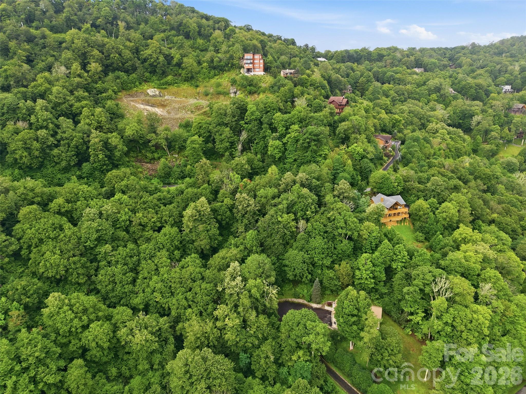 Lot 50 Running Cedar Drive Property Photo 6