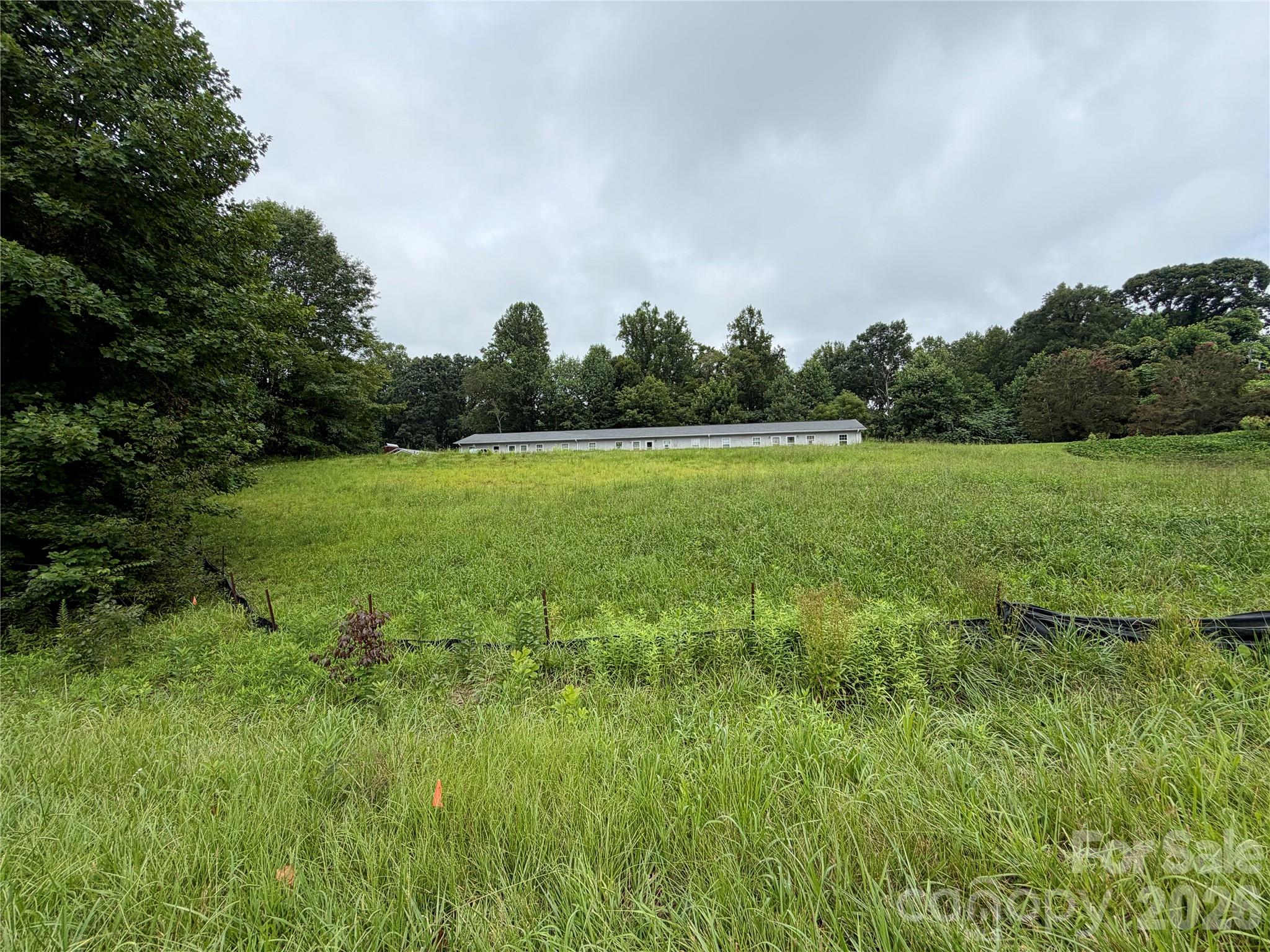 196 Beaman Road Property Photo 11