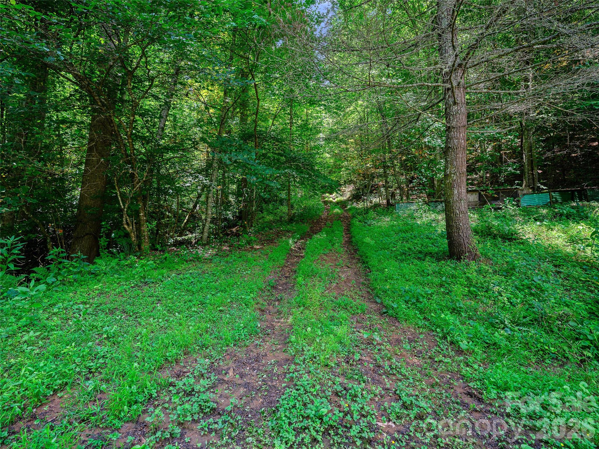 000 Cove Mountain Road Property Photo 2