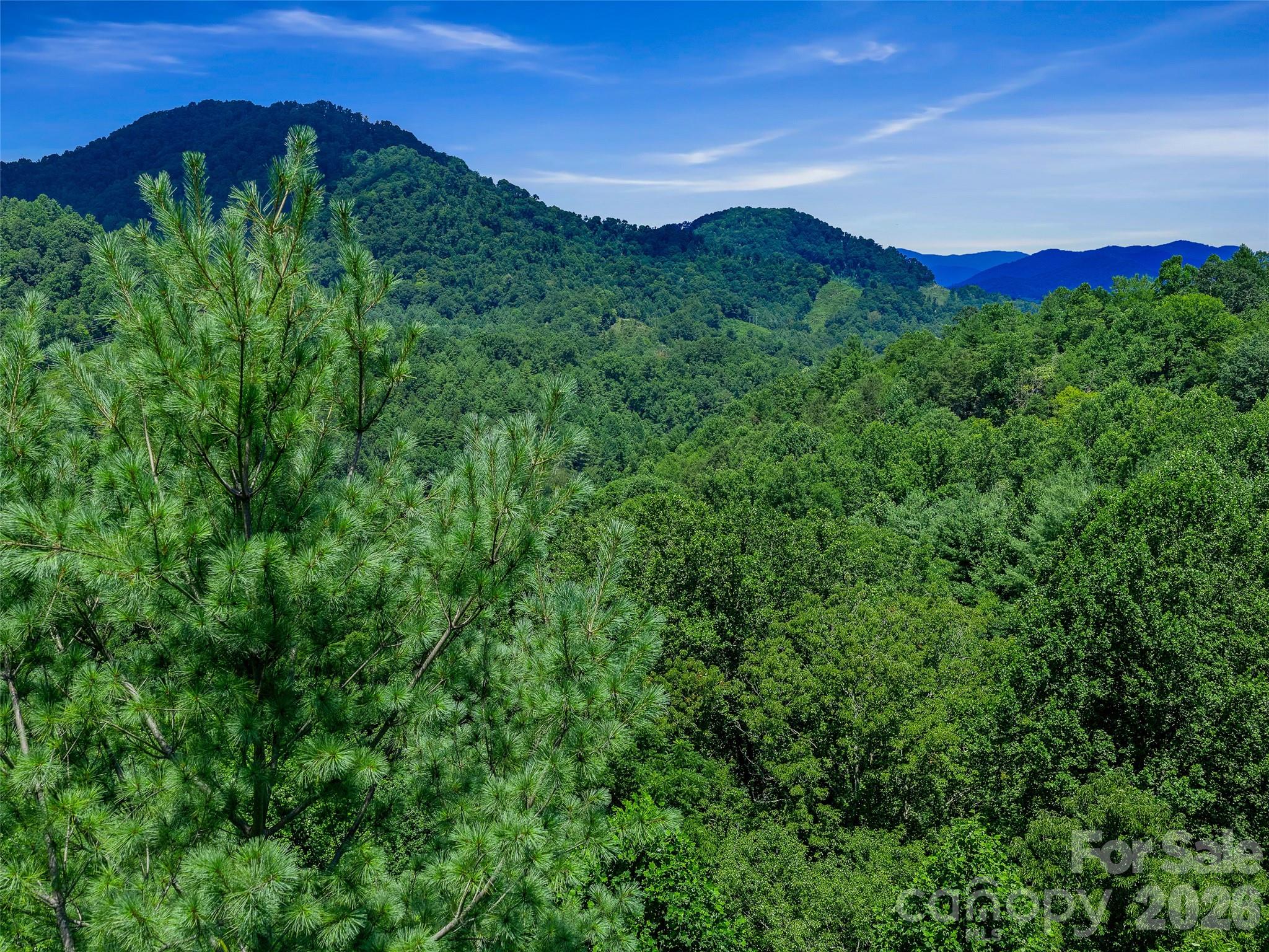 000 Cove Mountain Road Property Photo 5