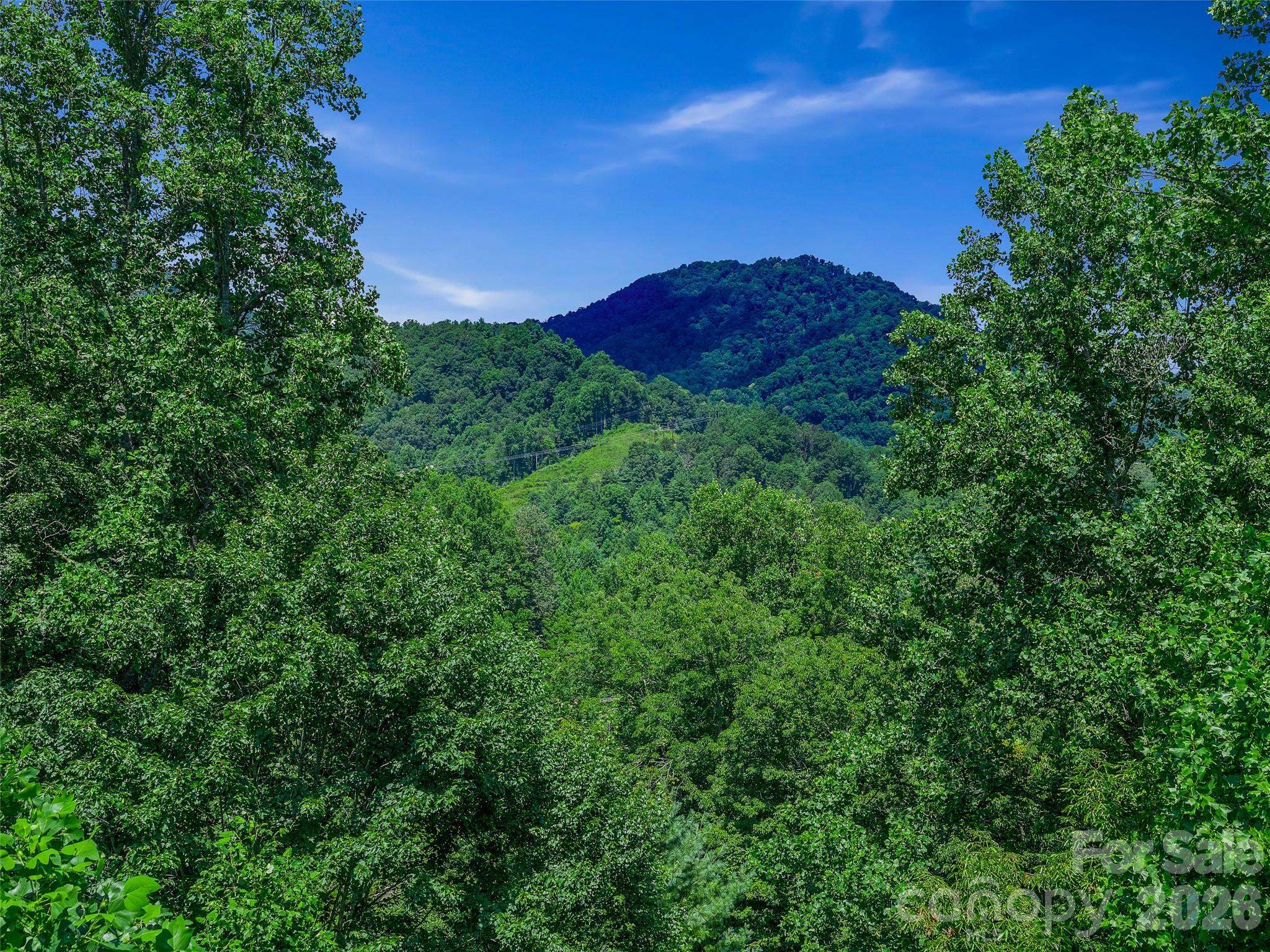 000 Cove Mountain Road Property Photo 6