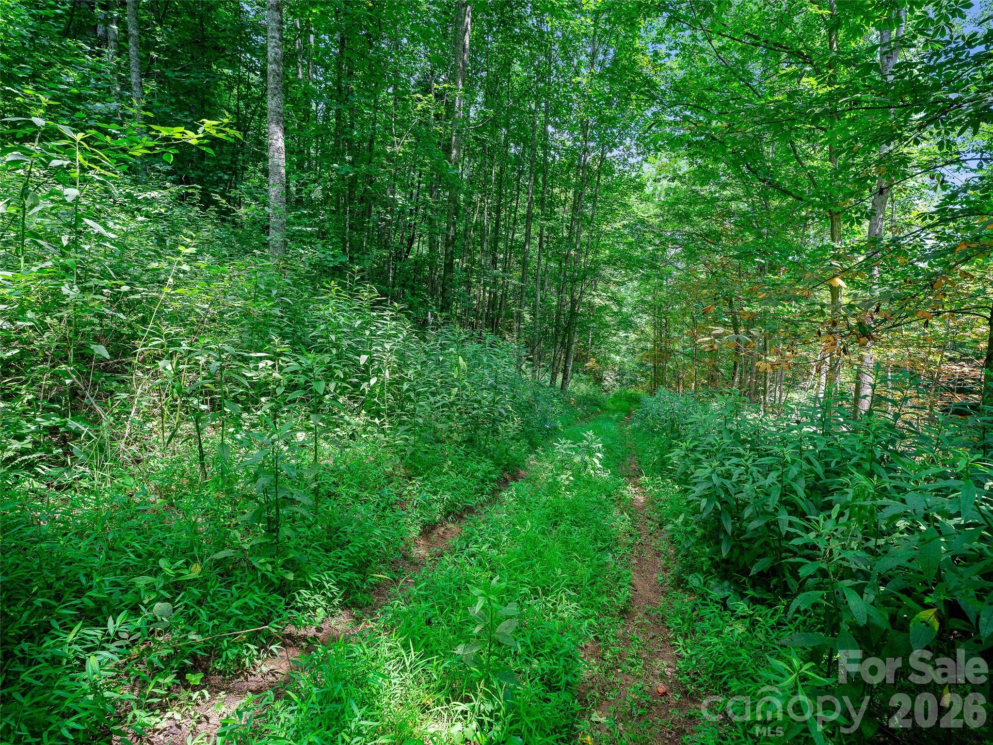 000 Cove Mountain Road Property Photo 7