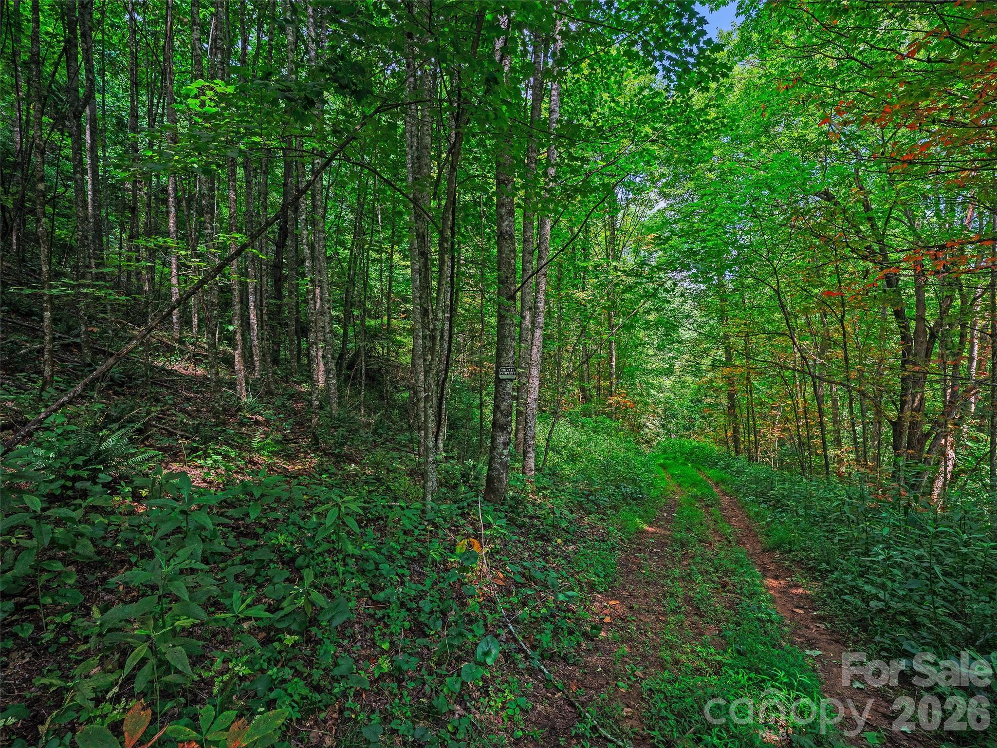 000 Cove Mountain Road Property Photo 8