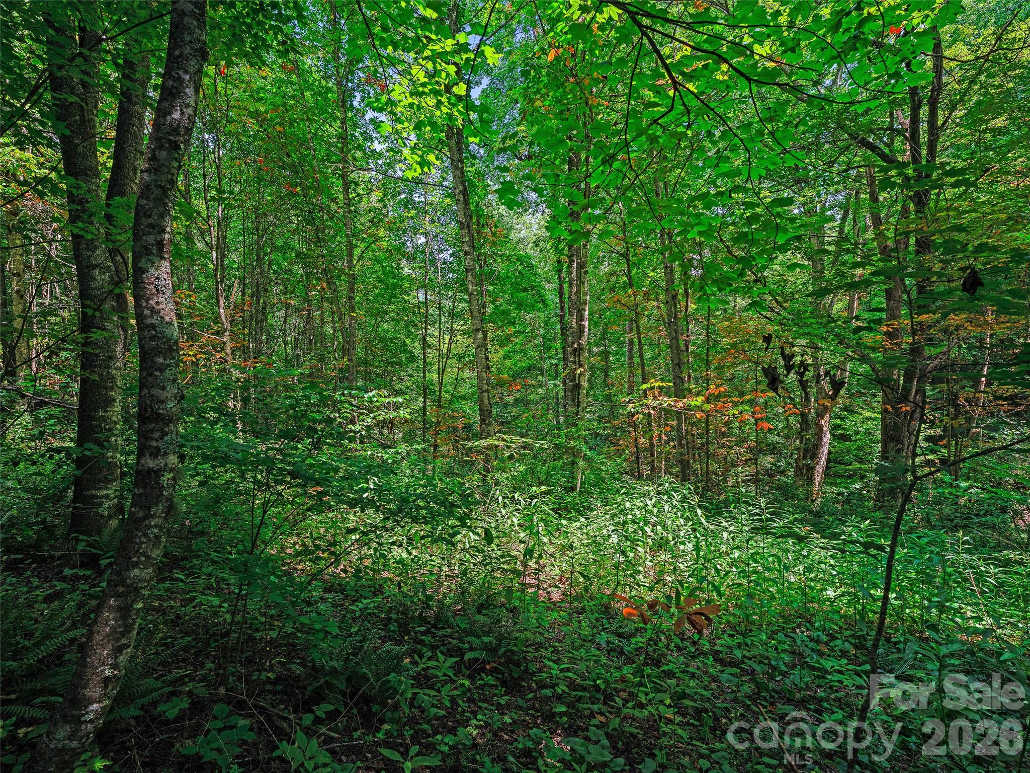 000 Cove Mountain Road Property Photo 9
