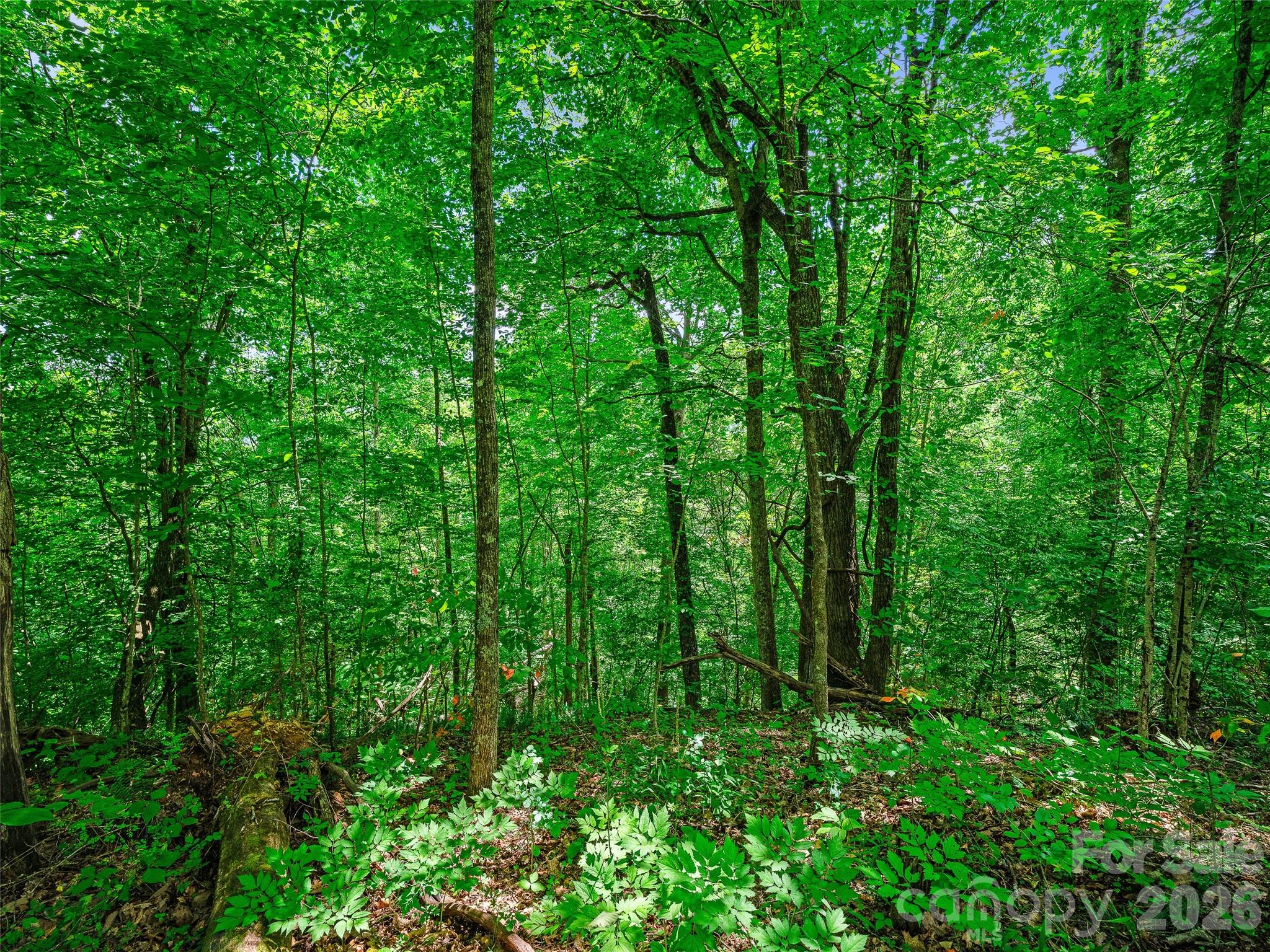 000 Cove Mountain Road Property Photo 10