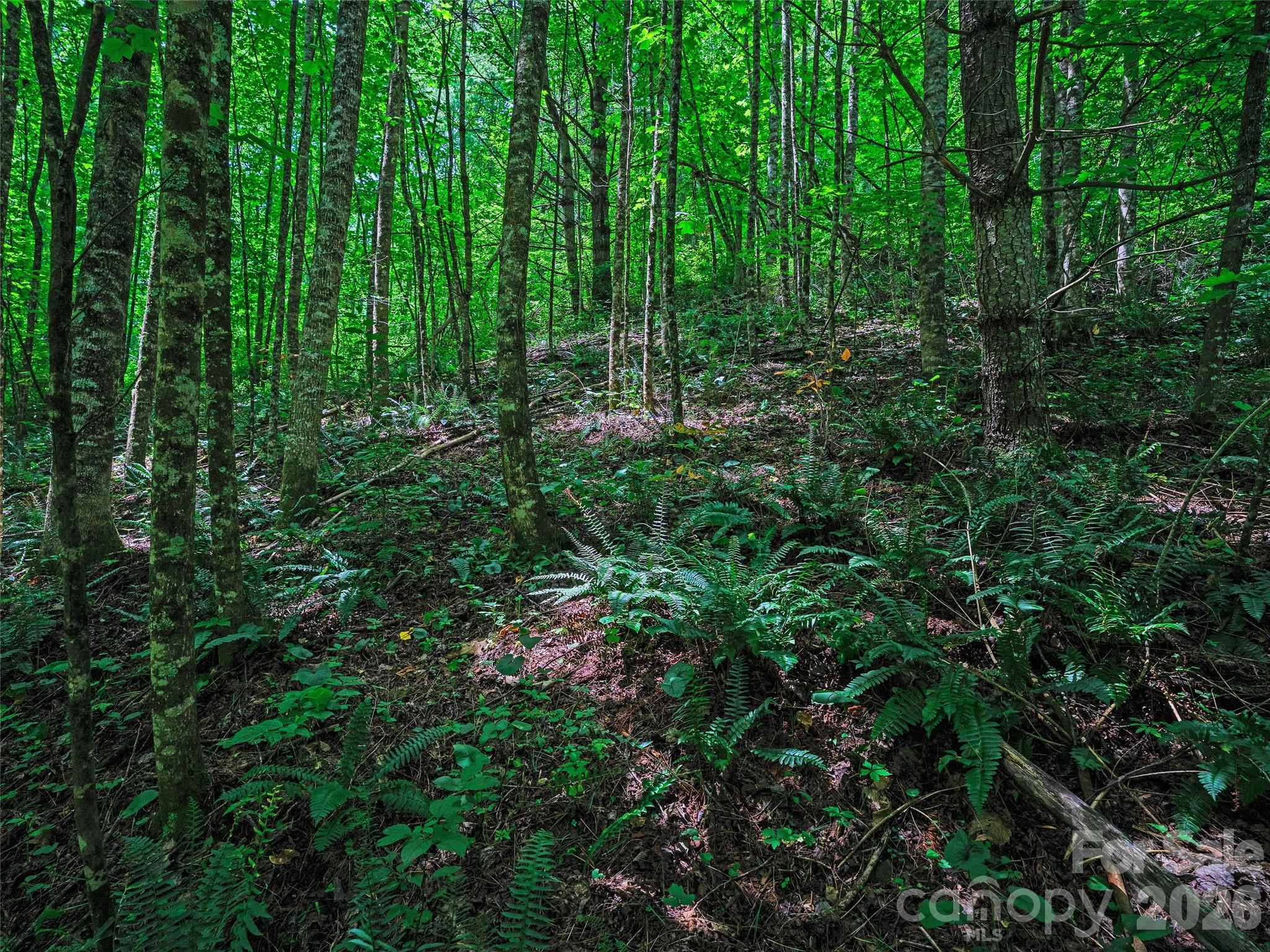 000 Cove Mountain Road Property Photo 12