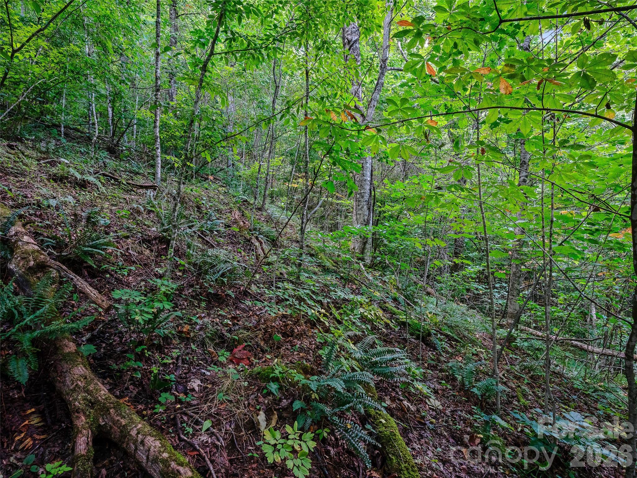 000 Cove Mountain Road Property Photo 13
