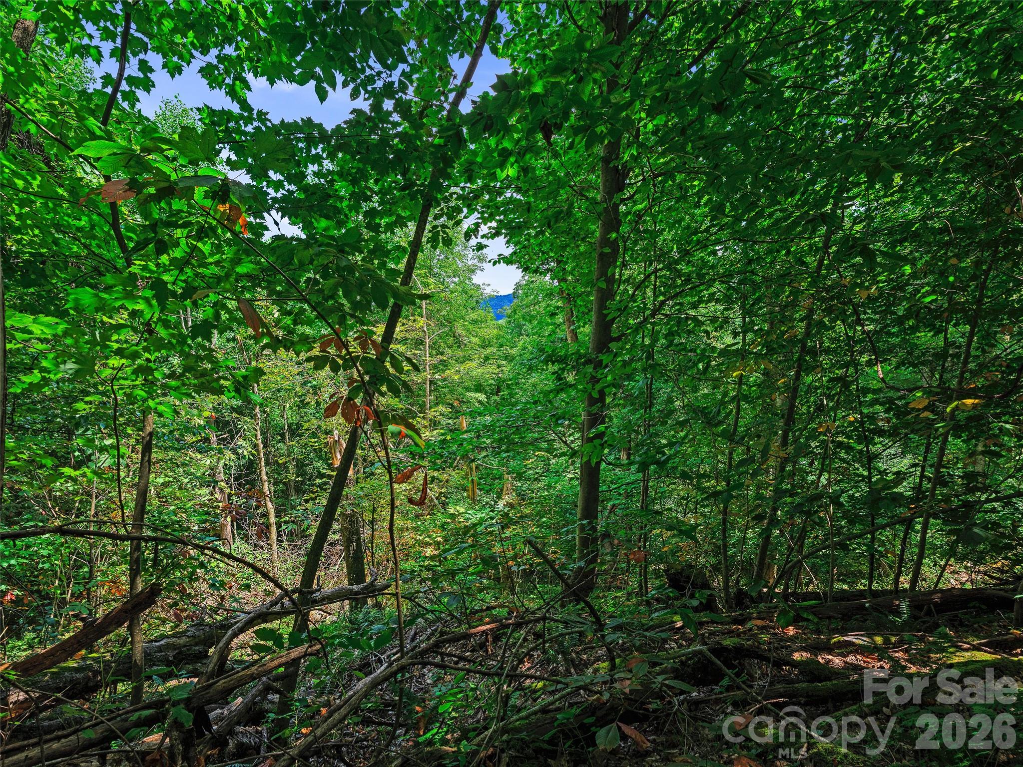 000 Cove Mountain Road Property Photo 15