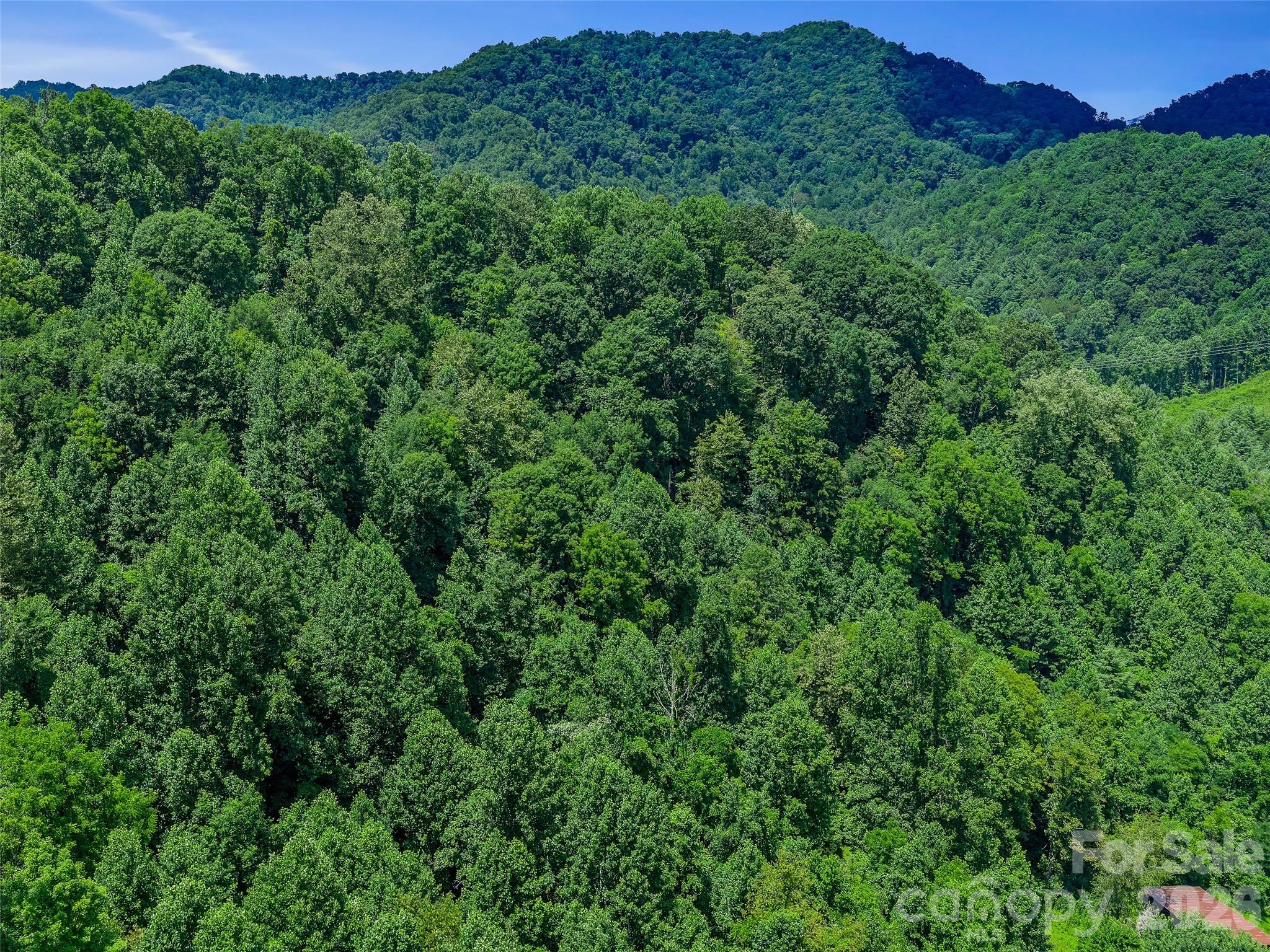 000 Cove Mountain Road Property Photo 18