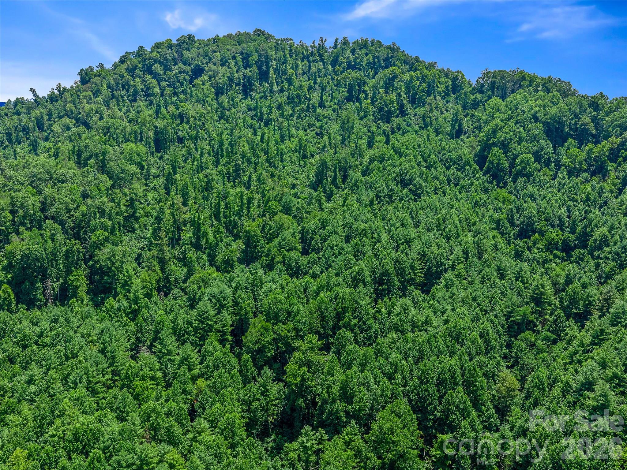000 Cove Mountain Road Property Photo 19