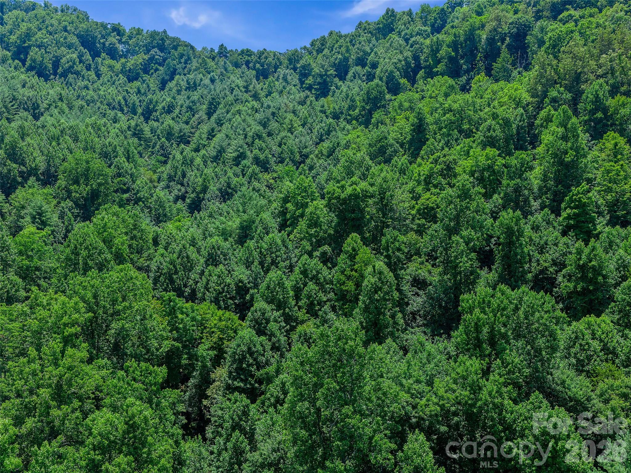 000 Cove Mountain Road Property Photo 20