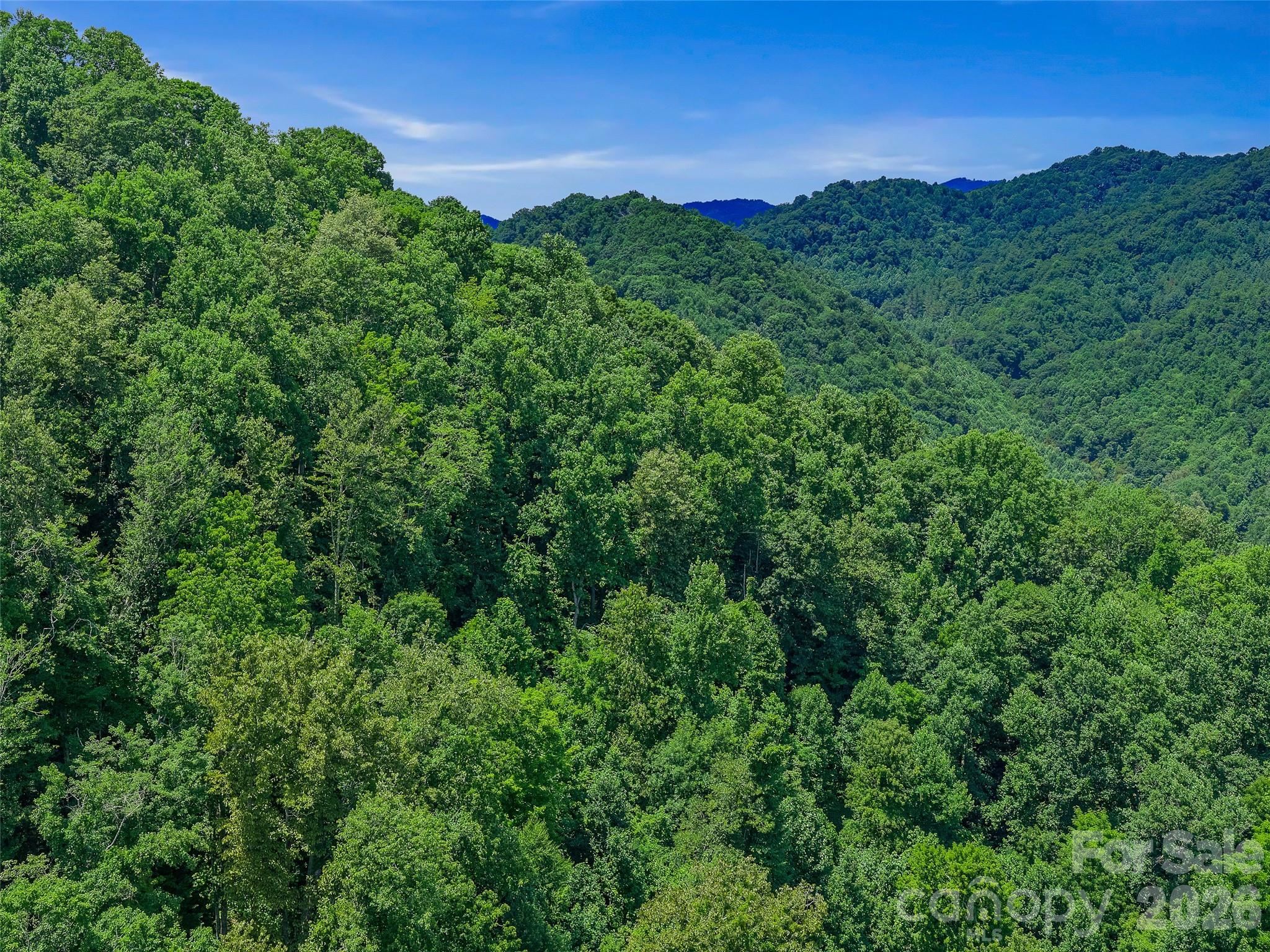000 Cove Mountain Road Property Photo 21