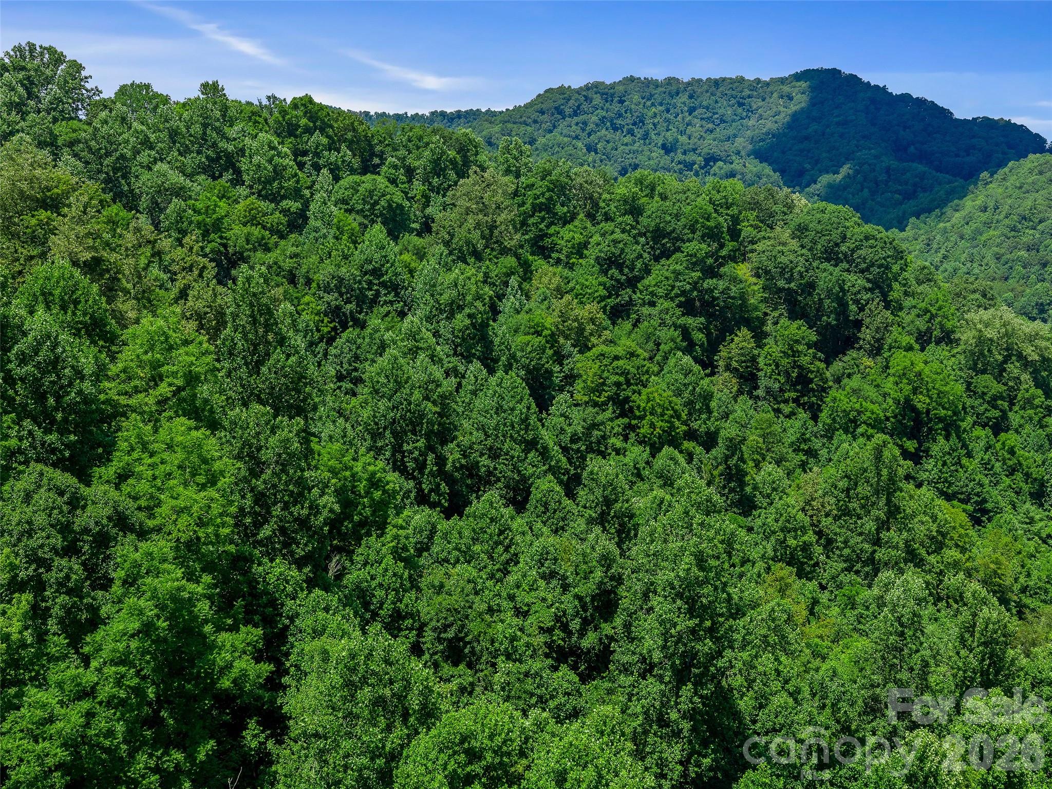 000 Cove Mountain Road Property Photo 22