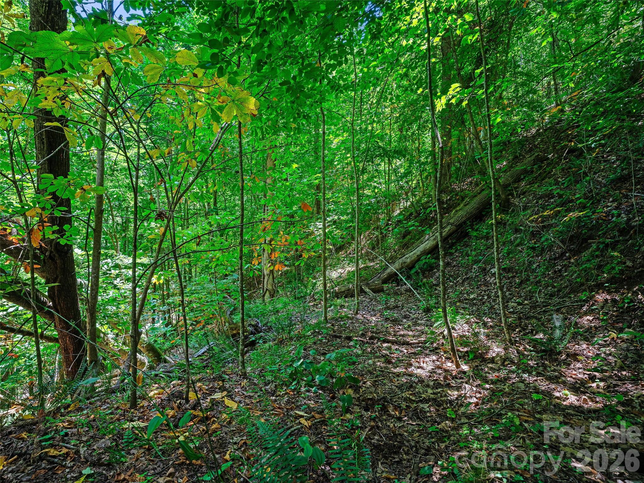 000 Cove Mountain Road Property Photo 24