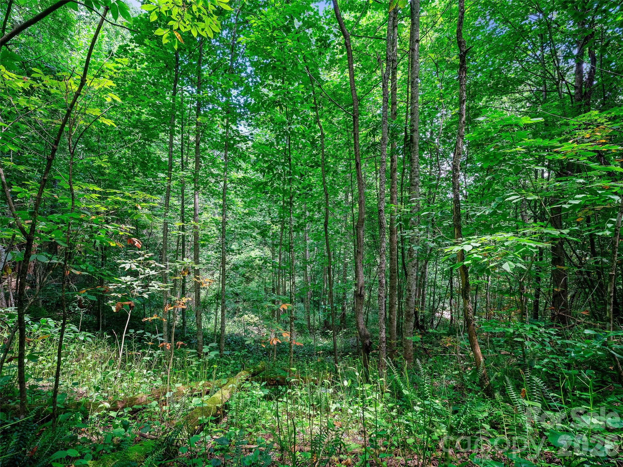 000 Cove Mountain Road Property Photo 25
