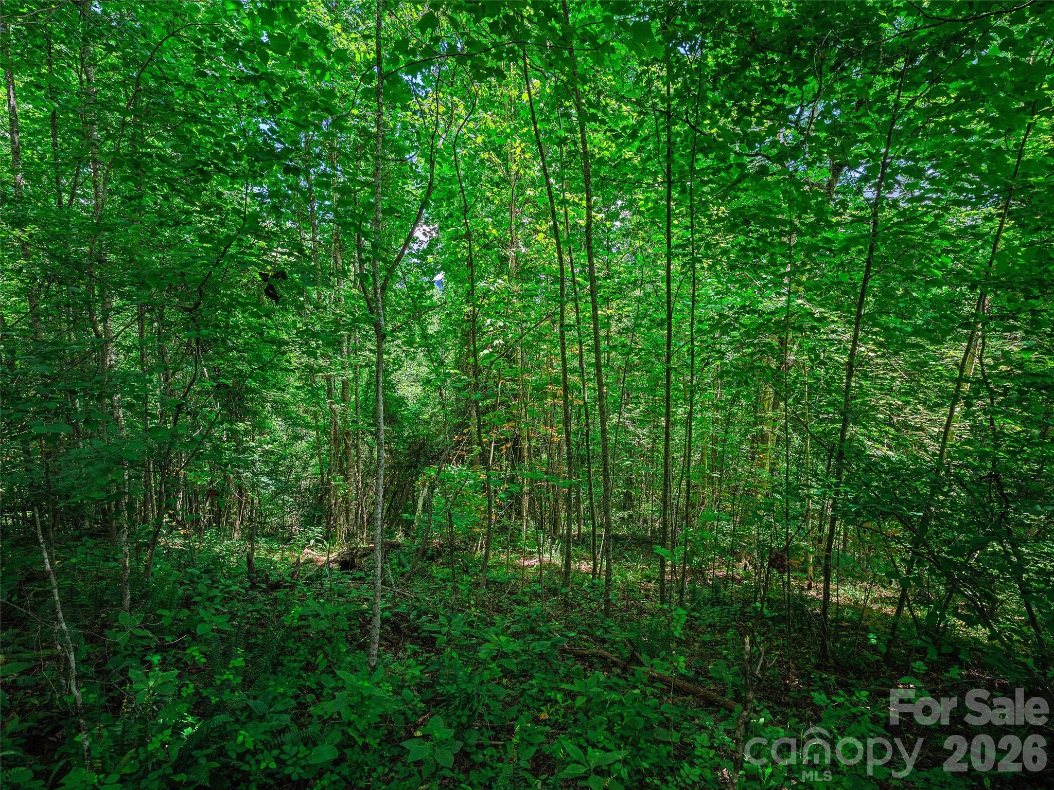 000 Cove Mountain Road Property Photo 26