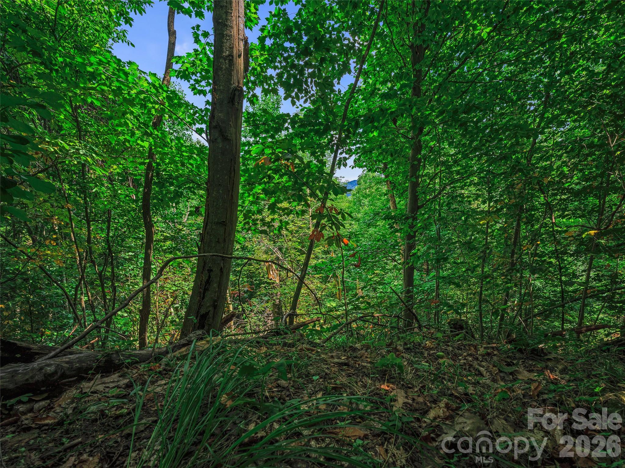 000 Cove Mountain Road Property Photo 27