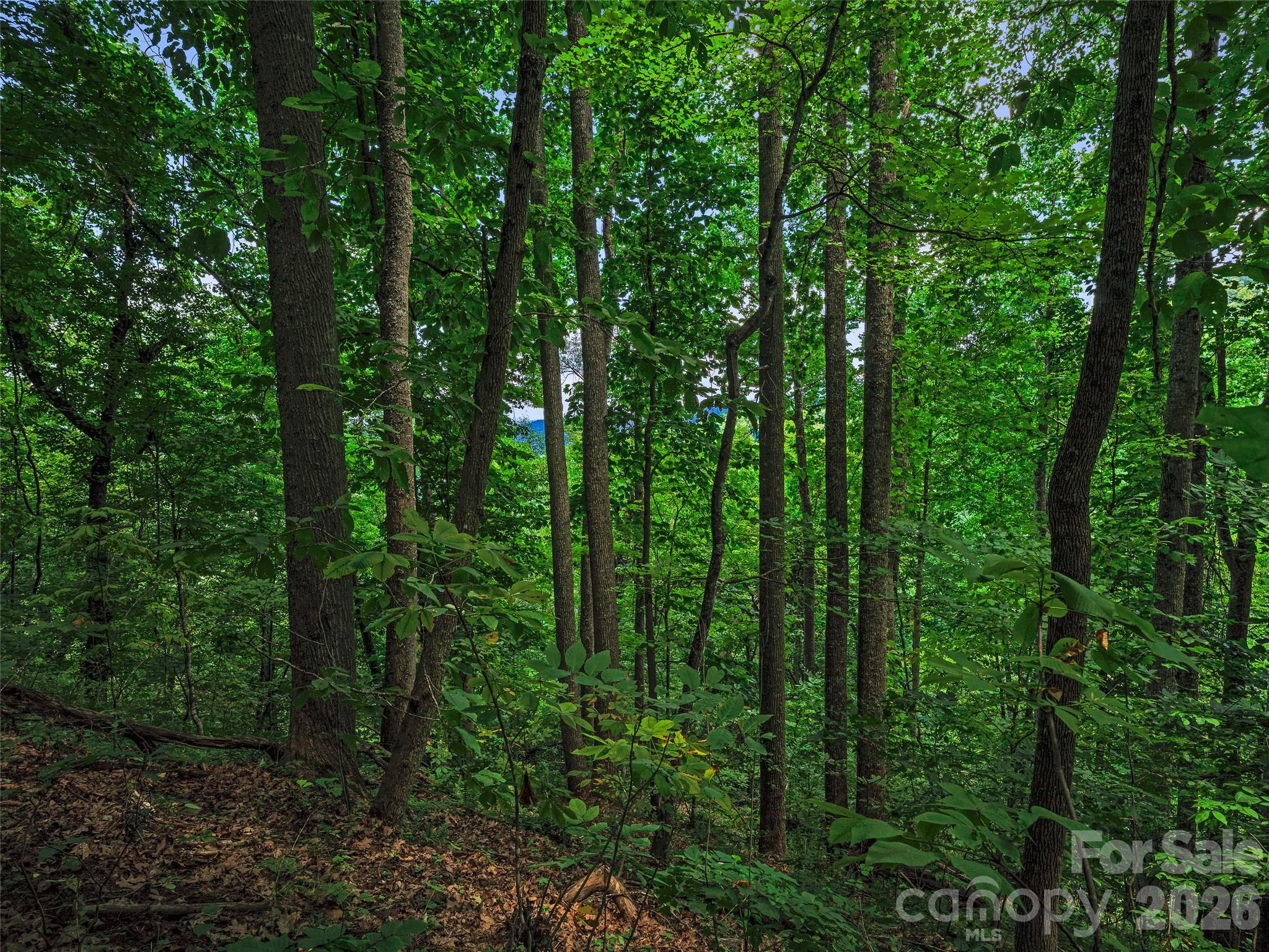 000 Cove Mountain Road Property Photo 28
