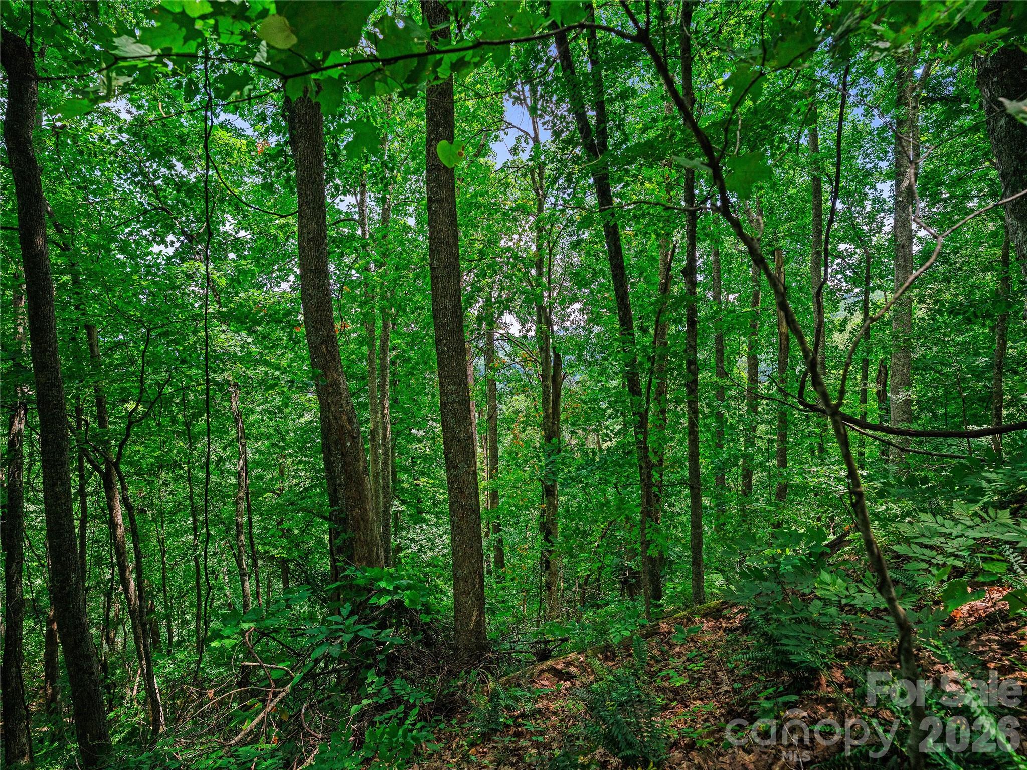 000 Cove Mountain Road Property Photo 29