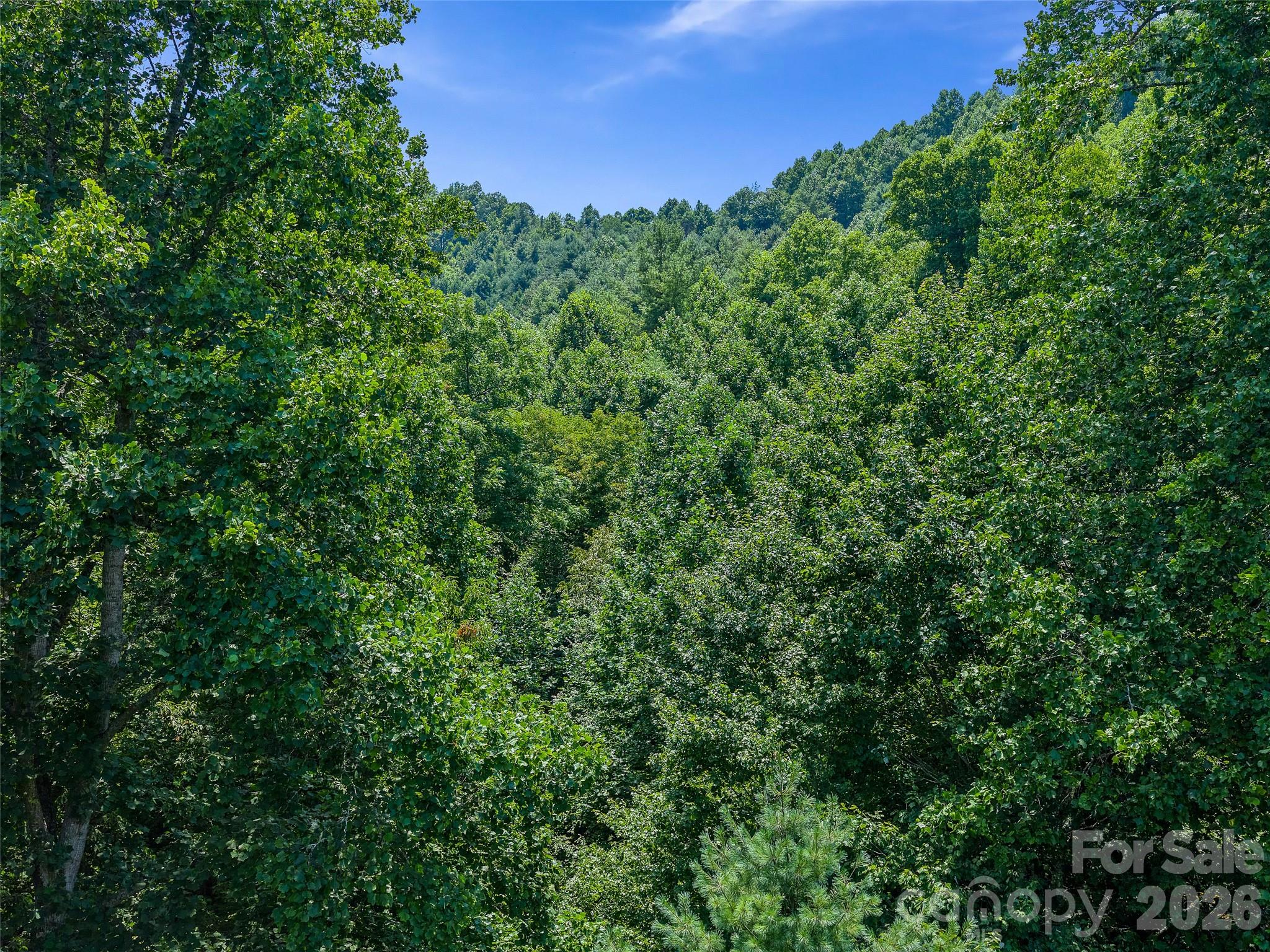 000 Cove Mountain Road Property Photo 30