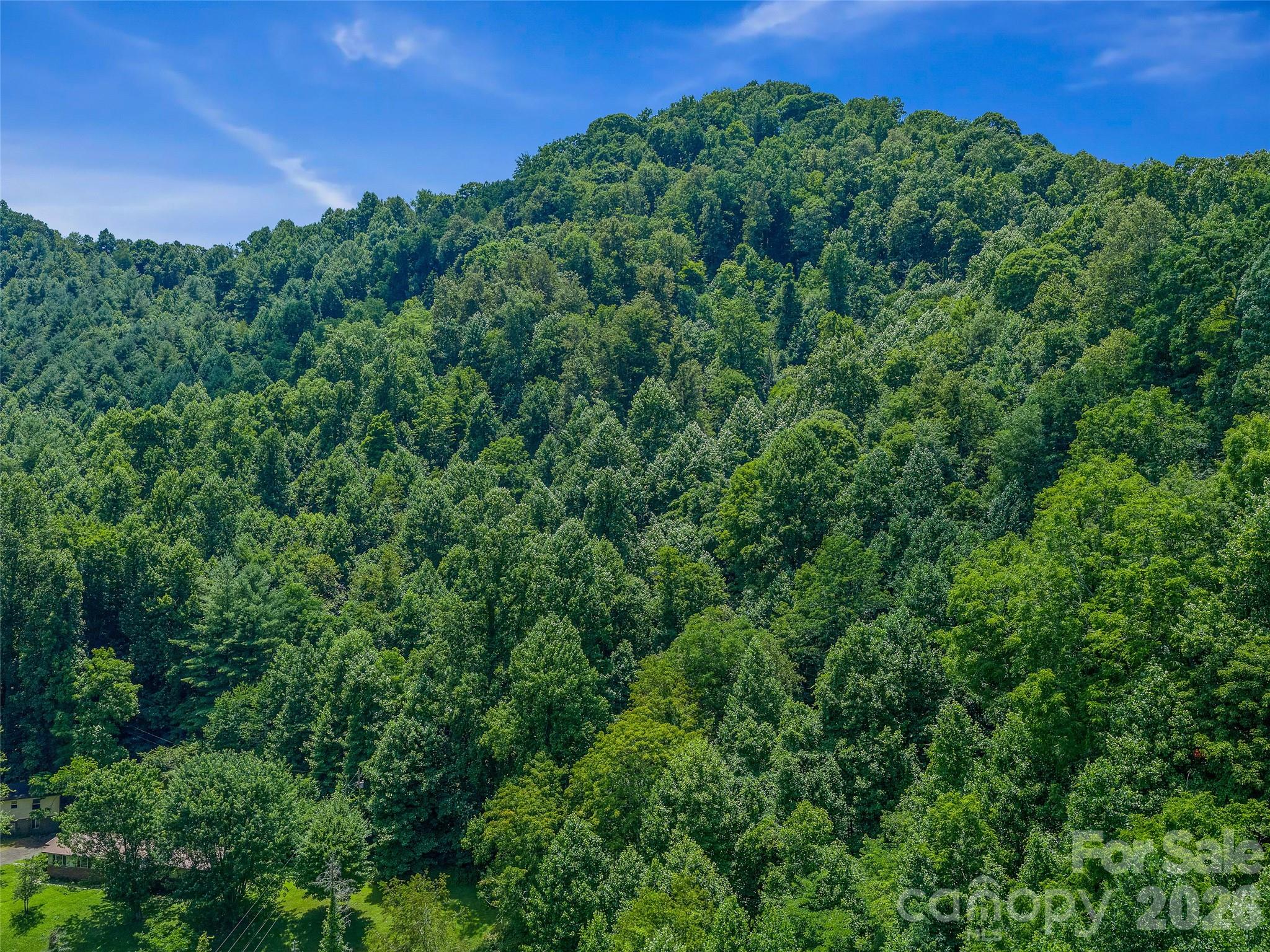 000 Cove Mountain Road Property Photo 31