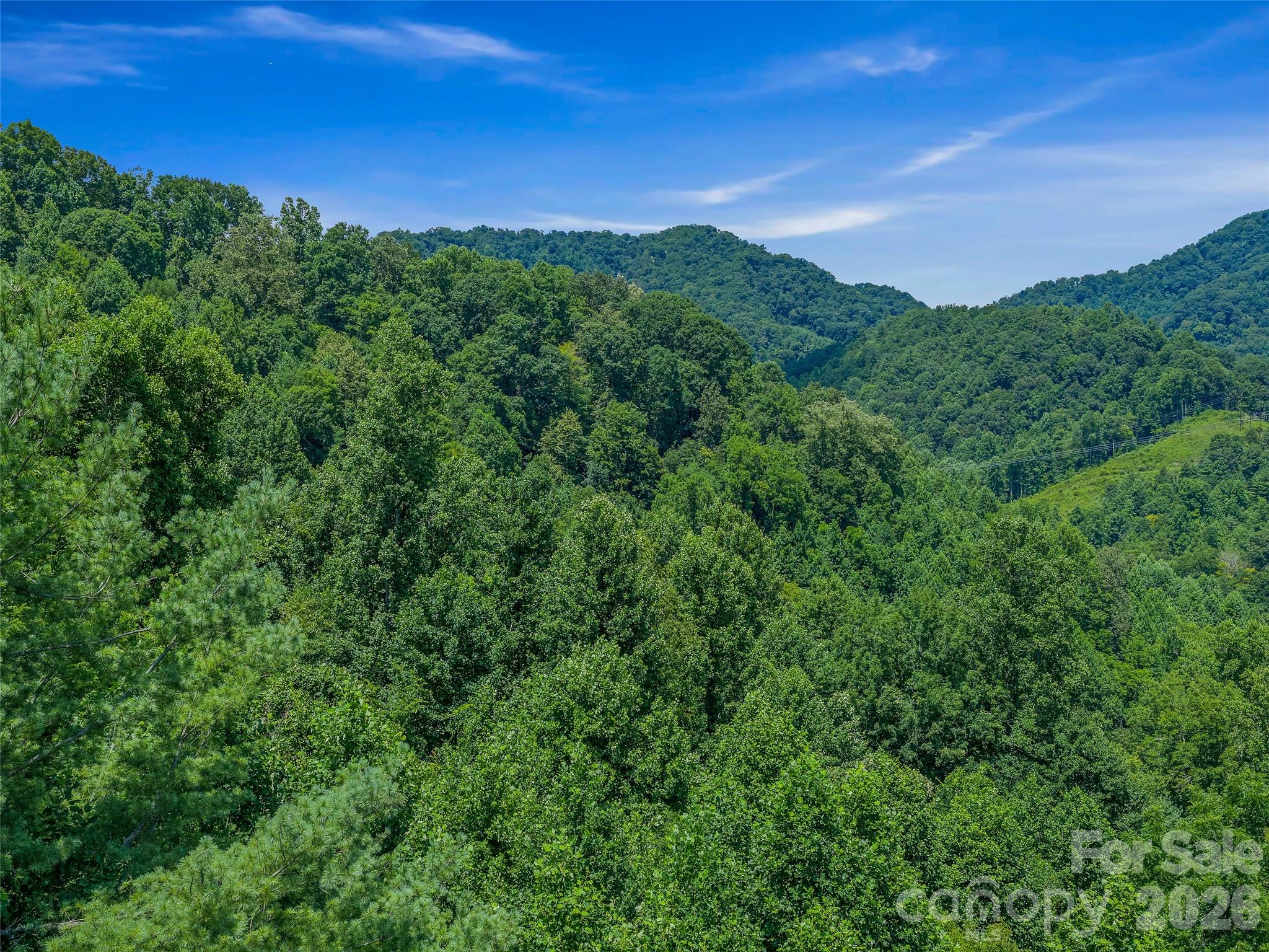 000 Cove Mountain Road Property Photo 32