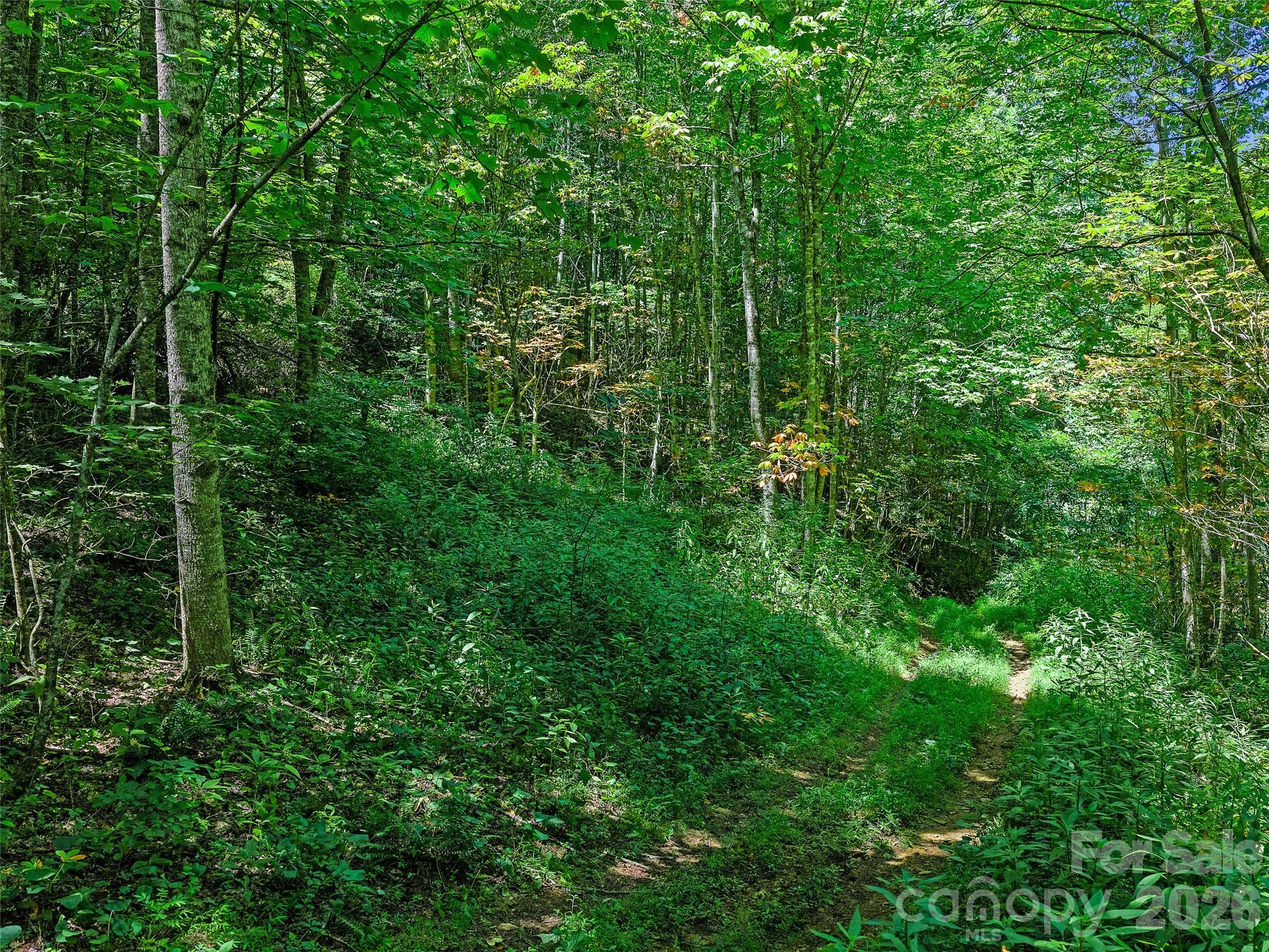 000 Cove Mountain Road Property Photo 33