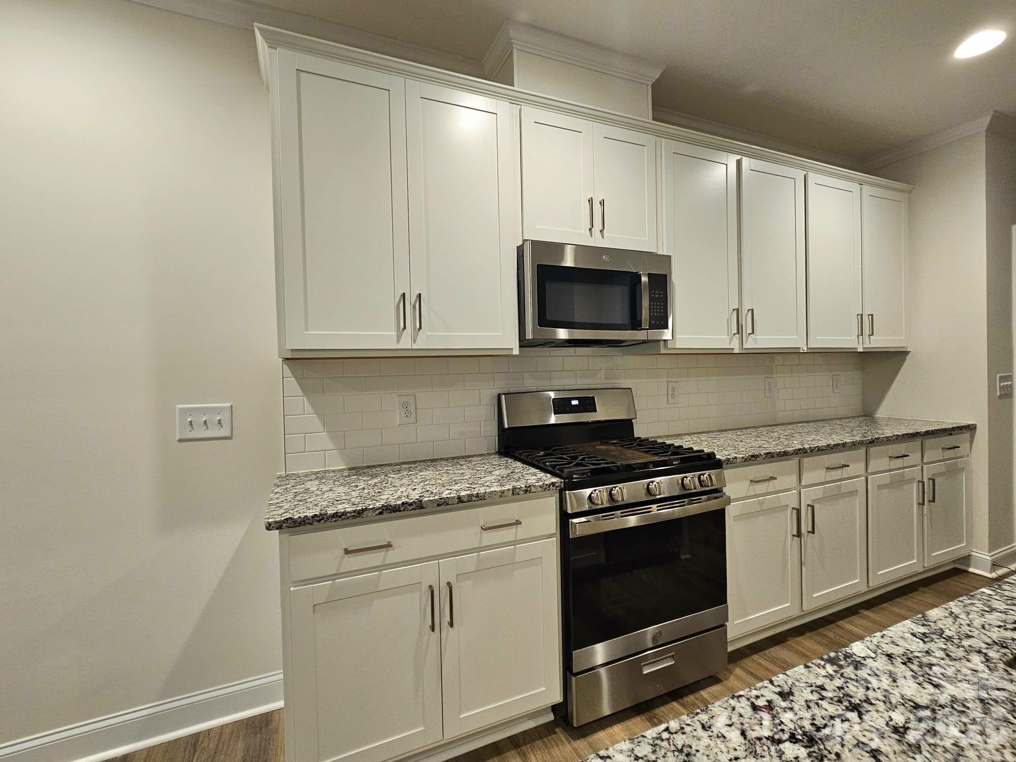10615 Audubon Ridge Drive Property Photo 3