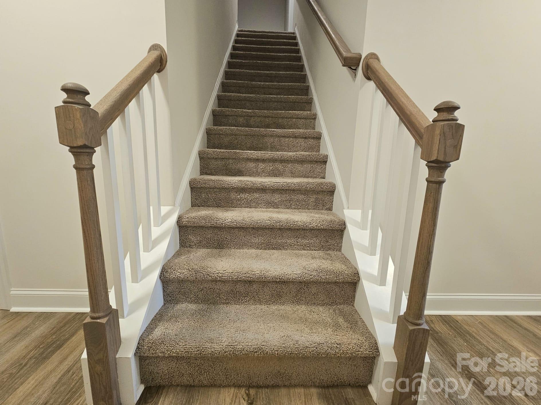 10615 Audubon Ridge Drive Property Photo 9
